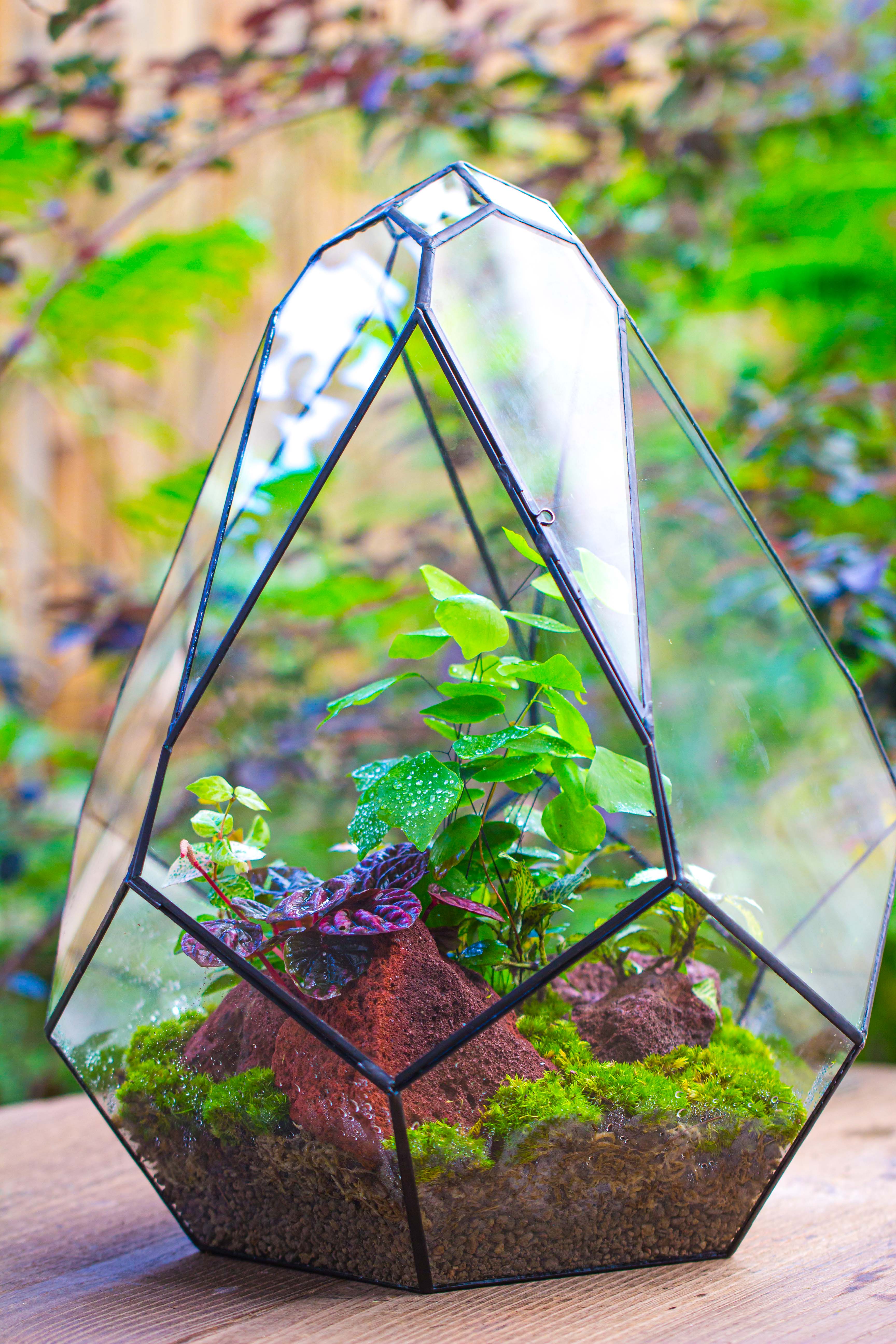 16" Large Teardrop Geometric Terrarium, close - NCYPgarden
