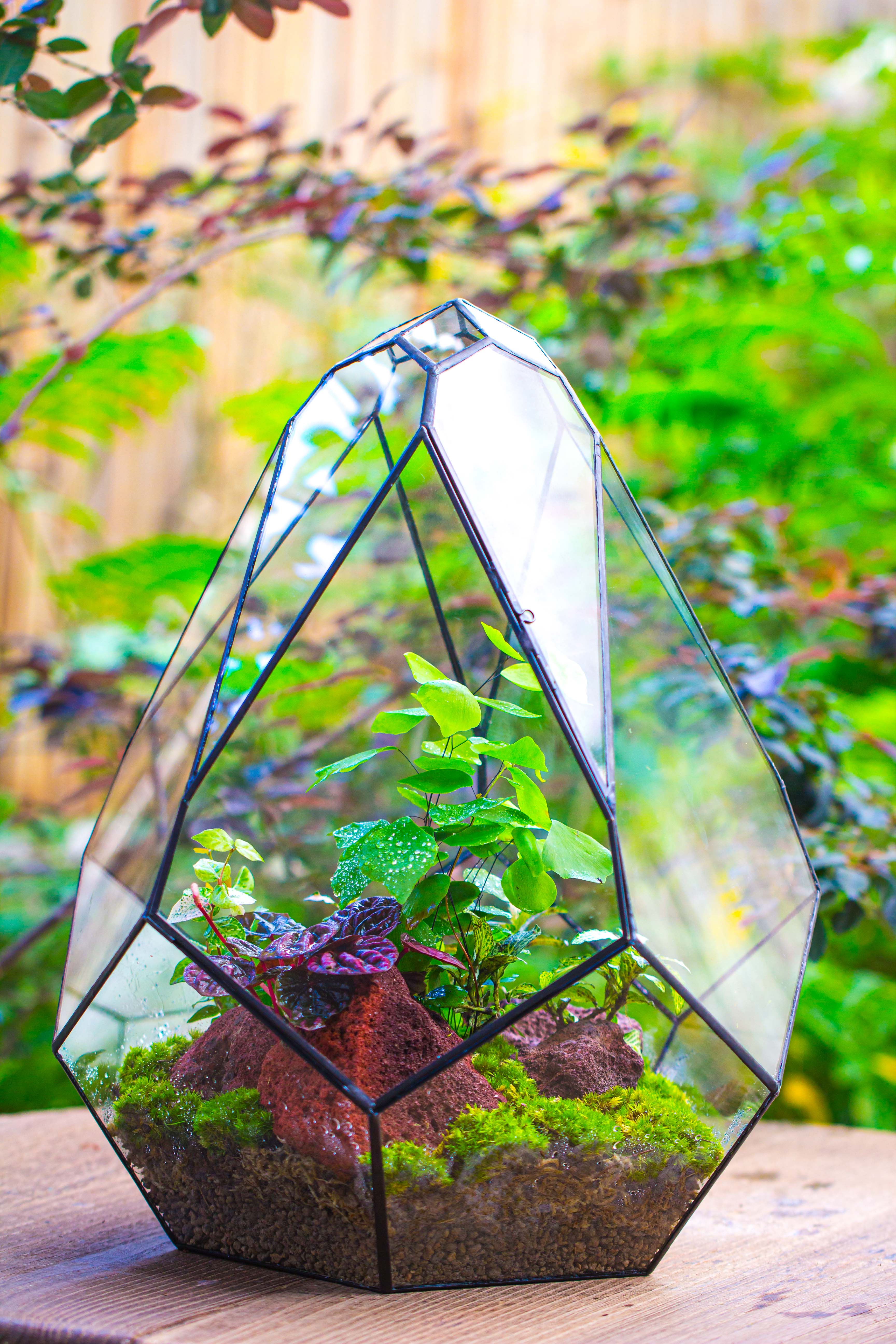16" Large Teardrop Geometric Terrarium, close - NCYPgarden