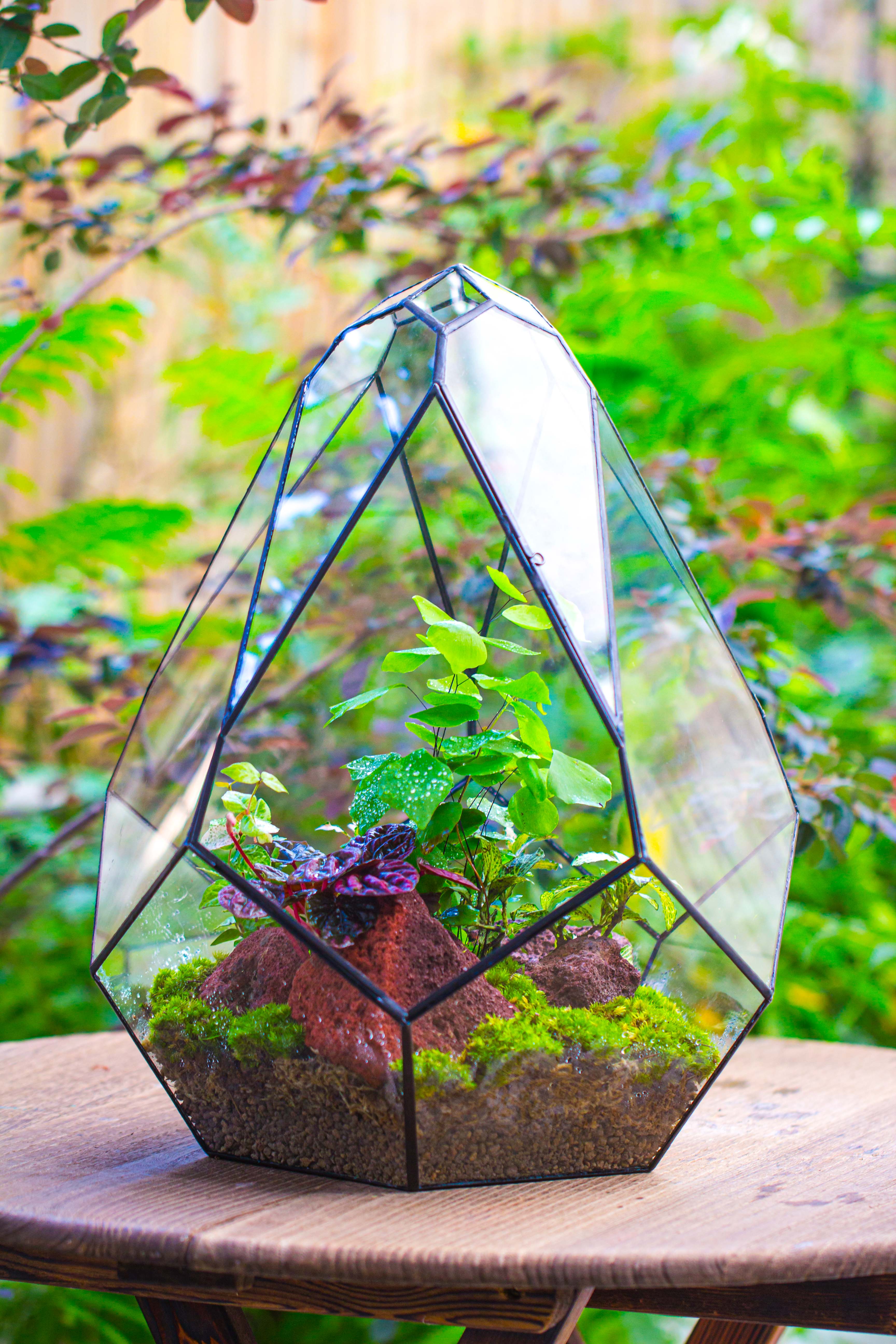 16" Large Teardrop Geometric Terrarium, close - NCYPgarden