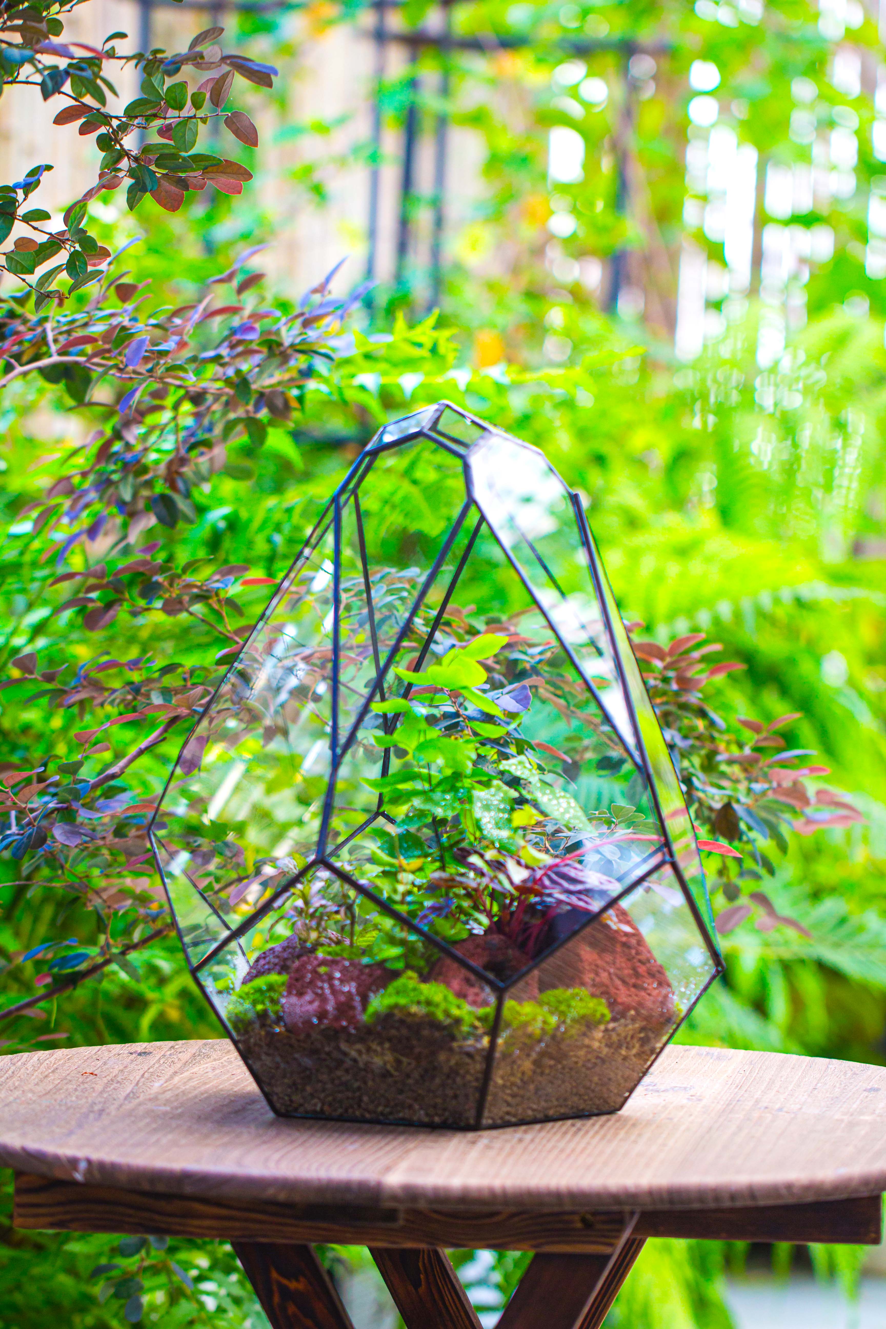 16" Large Teardrop Geometric Terrarium, close - NCYPgarden