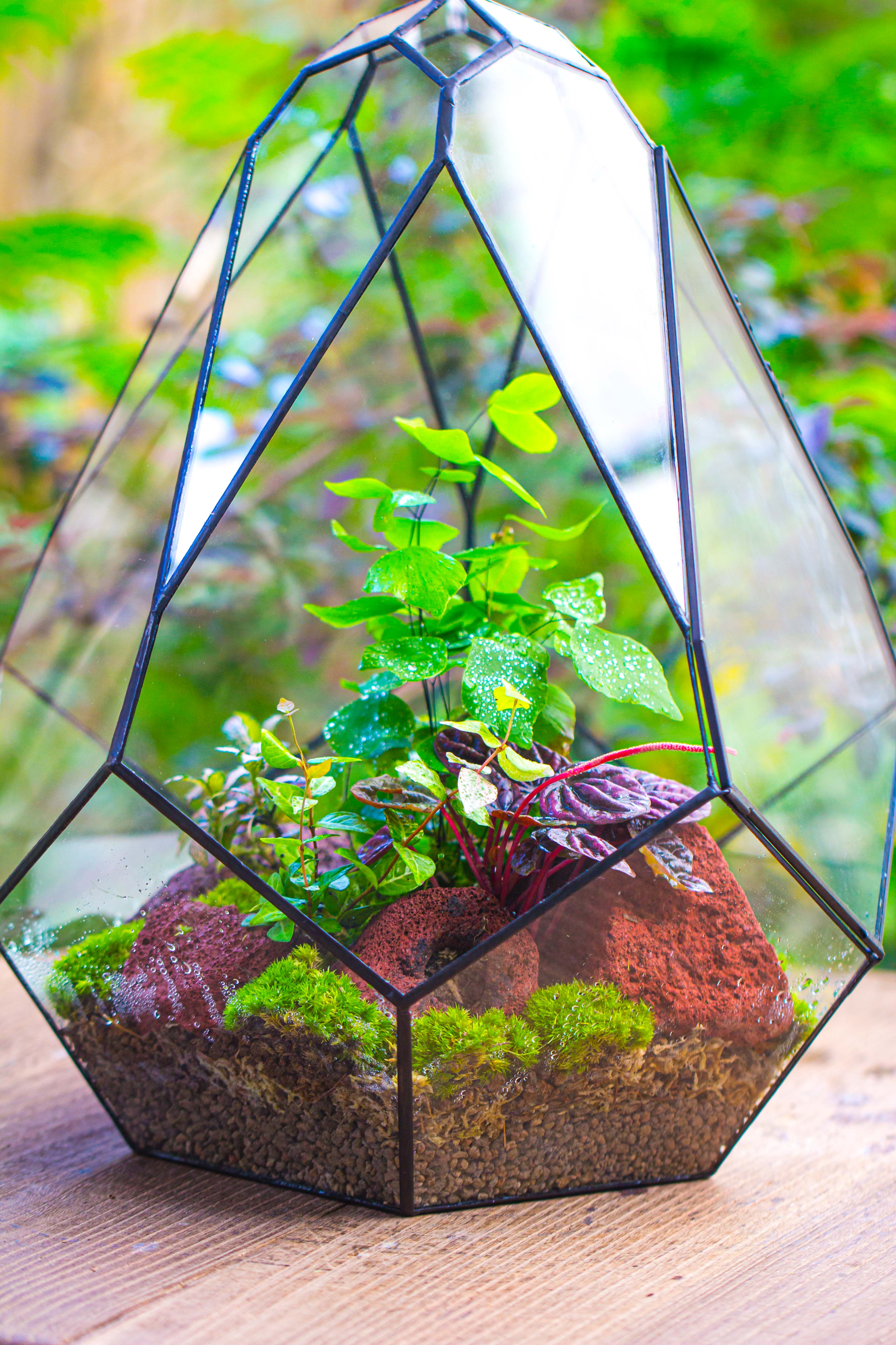 16" Large Teardrop Geometric Terrarium, close - NCYPgarden