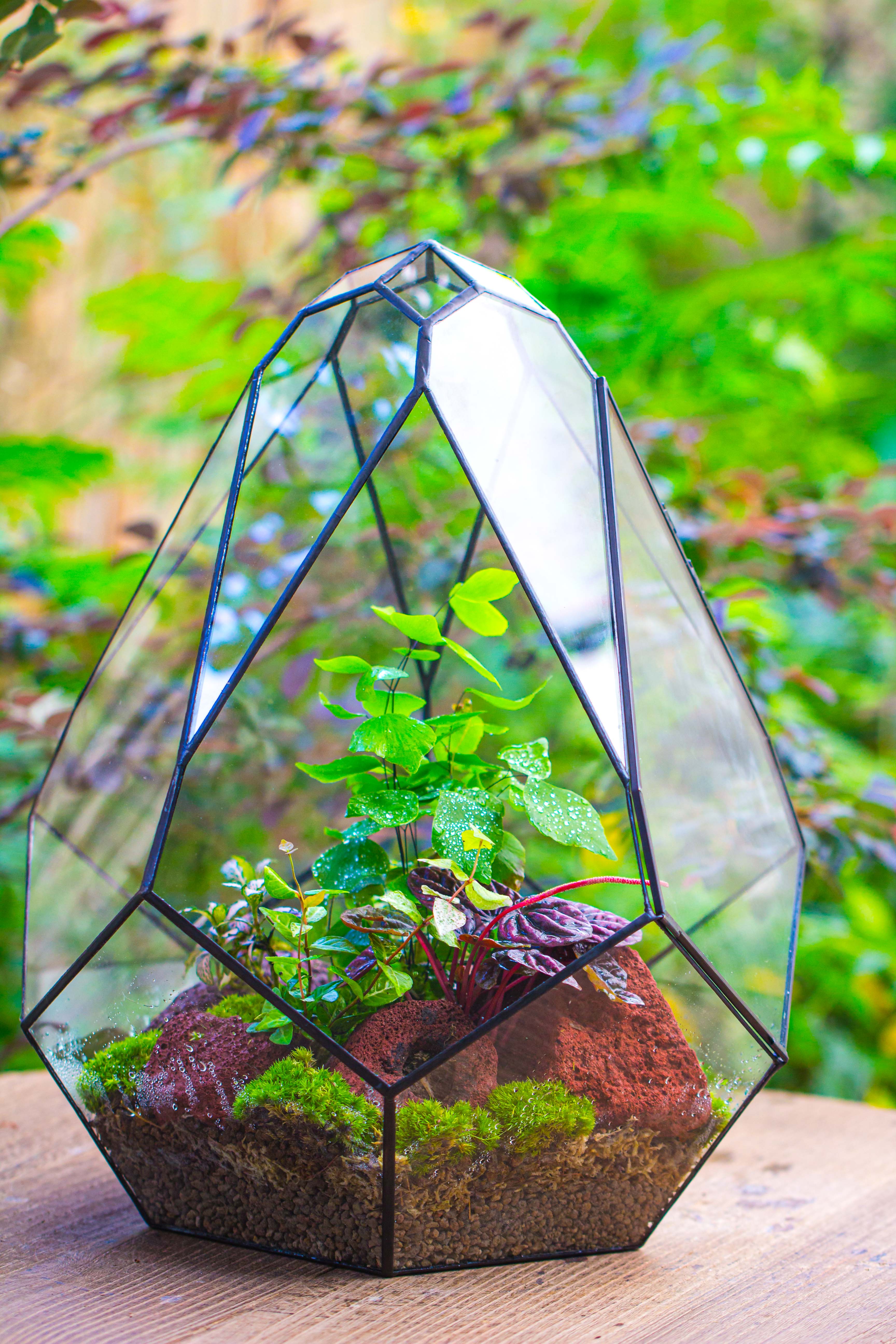 16" Large Teardrop Geometric Terrarium, close - NCYPgarden