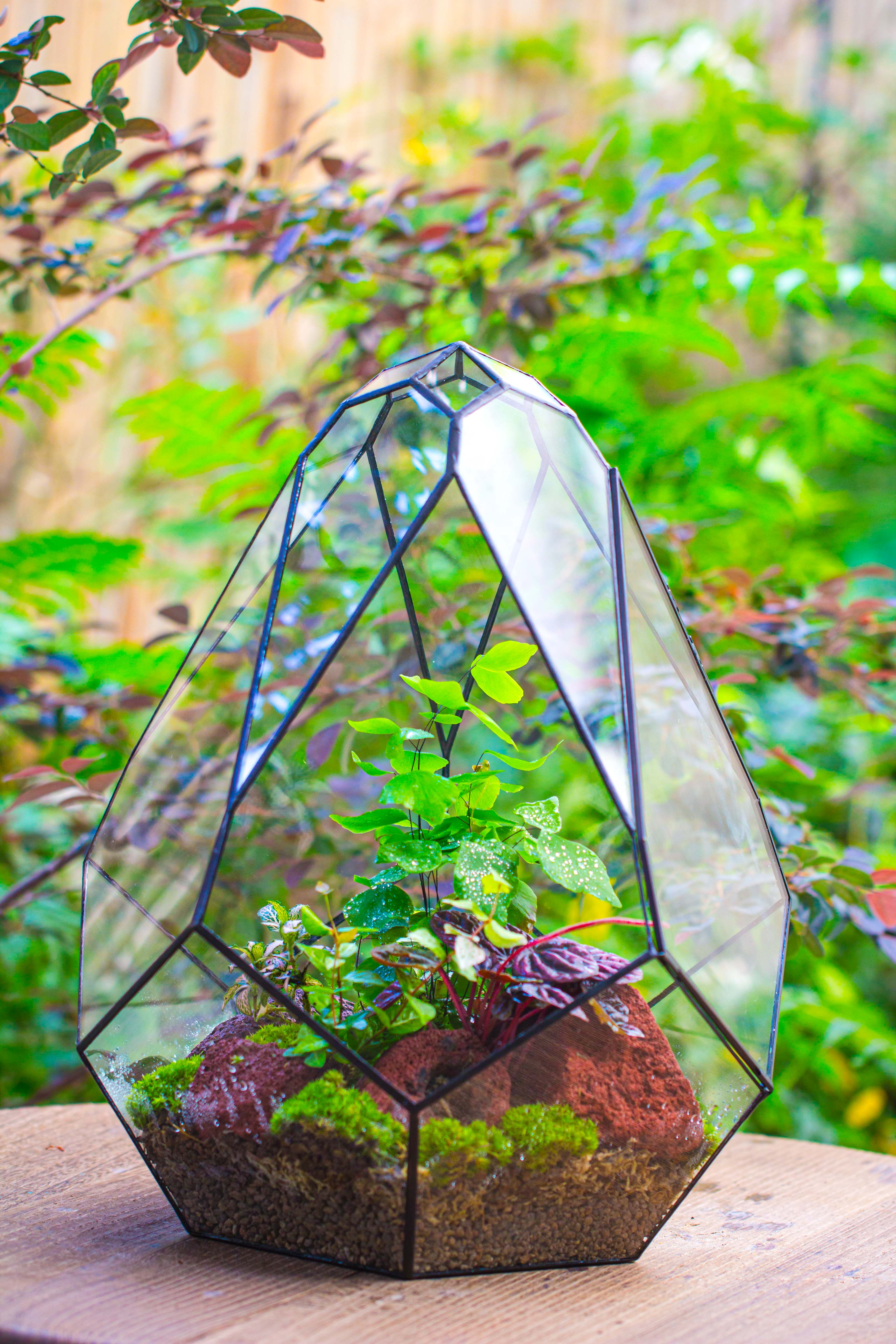 16" Large Teardrop Geometric Terrarium, close - NCYPgarden