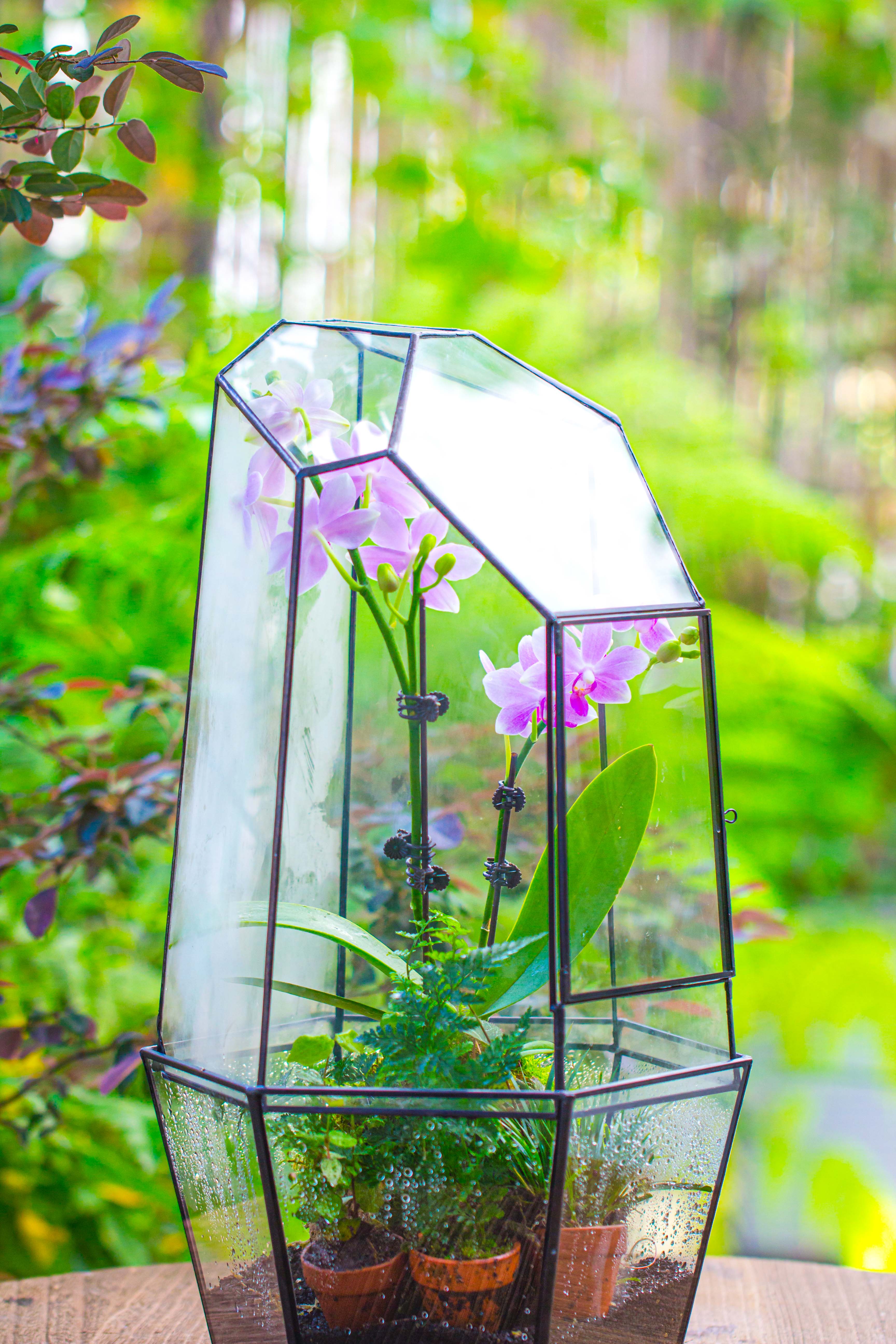 Large 2-Part 18.9" tall Close Glass Terrarium for orchid, fern, moss, Watertight - NCYPgarden