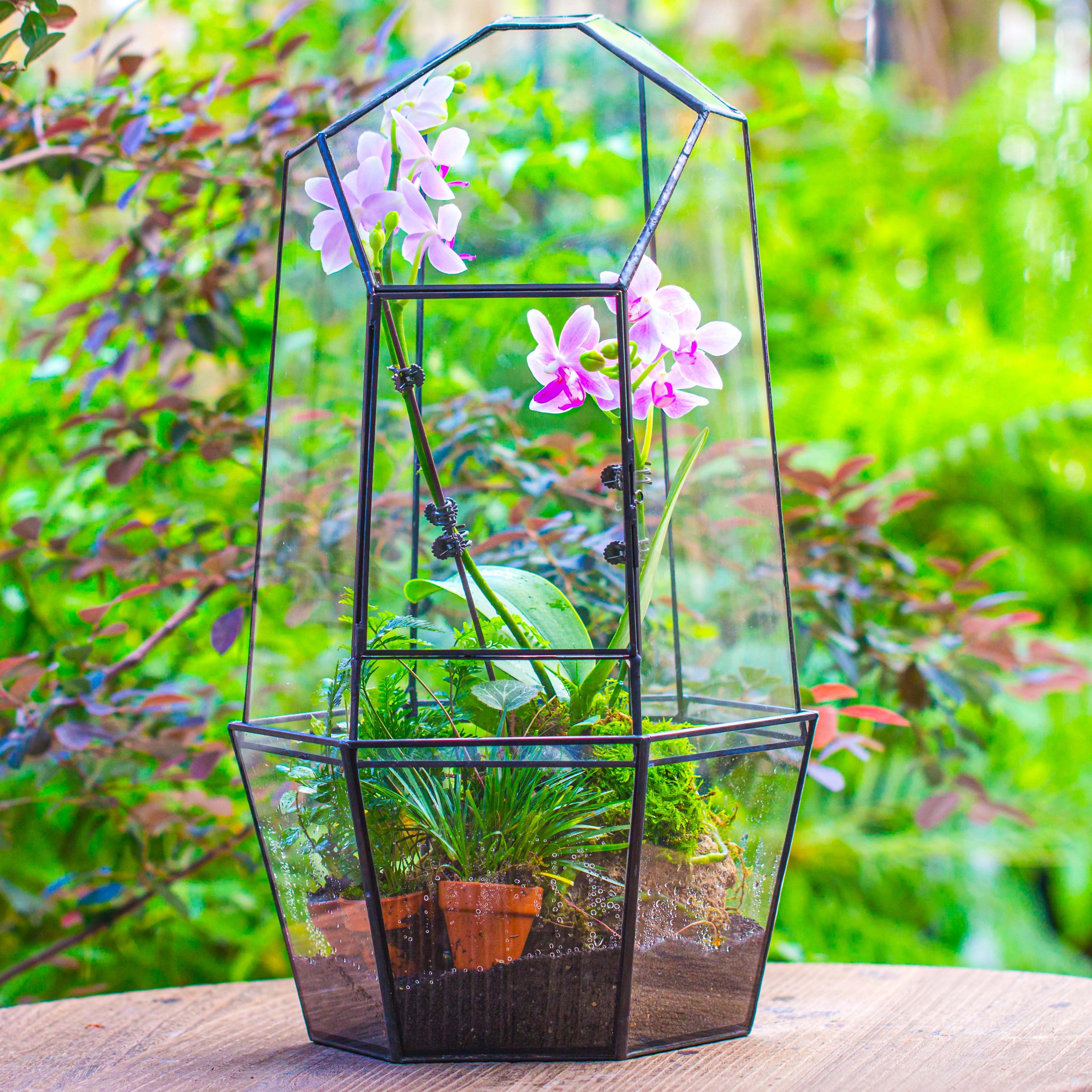 Large 2-Part 18.9" tall Close Glass Terrarium for orchid, fern, moss, Watertight - NCYPgarden