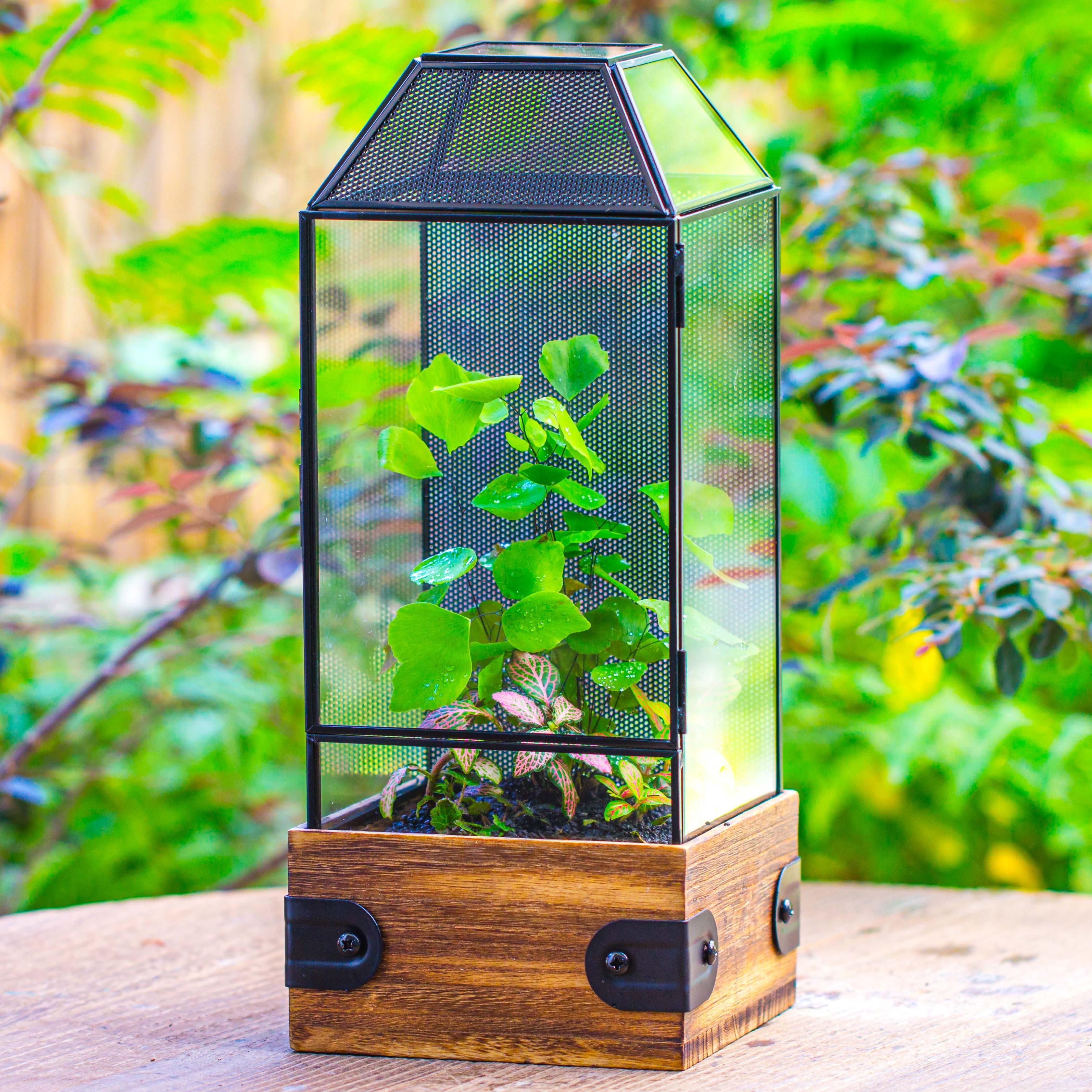 Handmade Glass Terrarium with Wood Base, Geometric Jumping Spider Enclosure, with Mesh Vent, for Plants, Snail, Insects - NCYPgarden