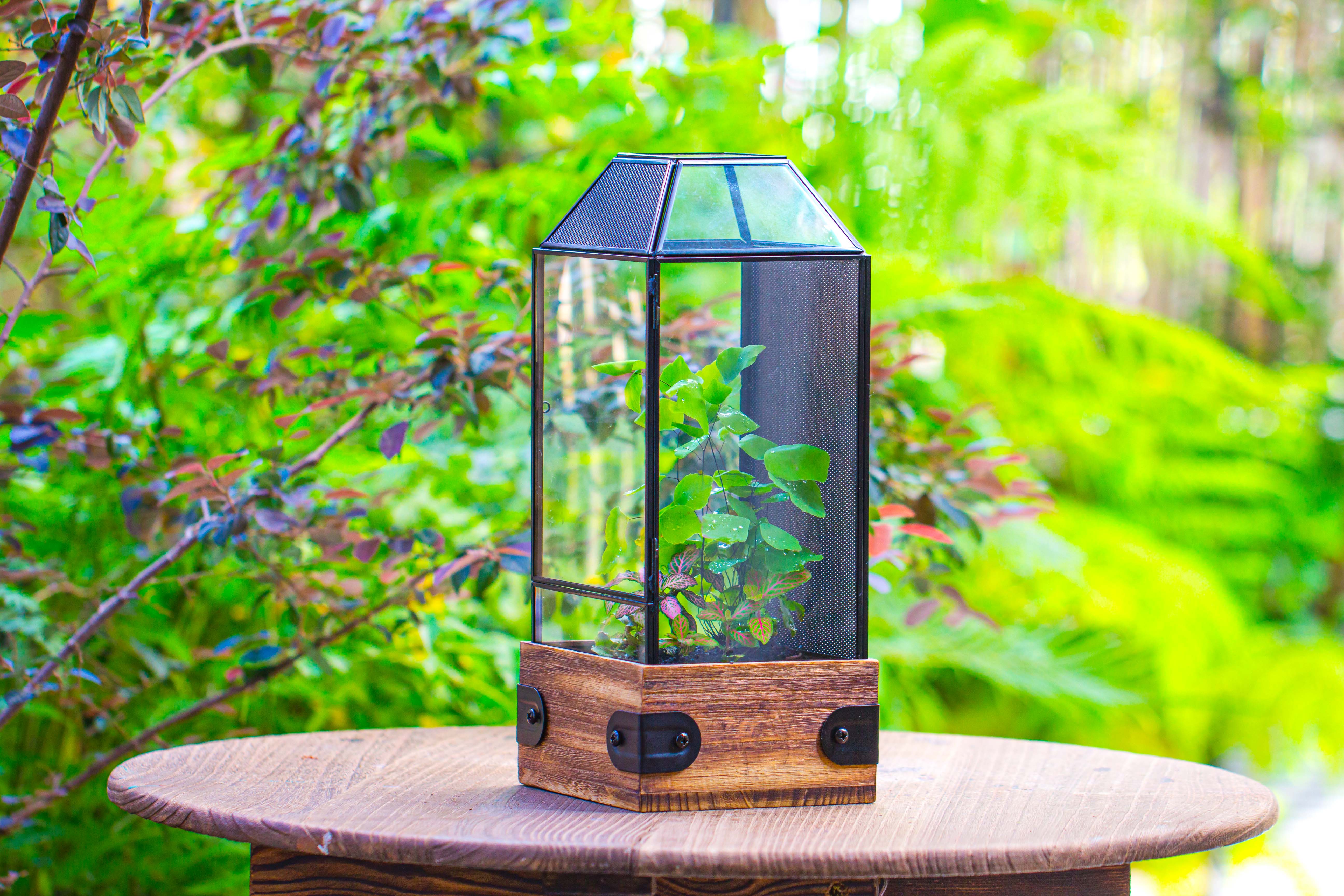 Handmade Glass Terrarium with Wood Base, Geometric Jumping Spider Enclosure, with Mesh Vent, for Plants, Snail, Insects - NCYPgarden