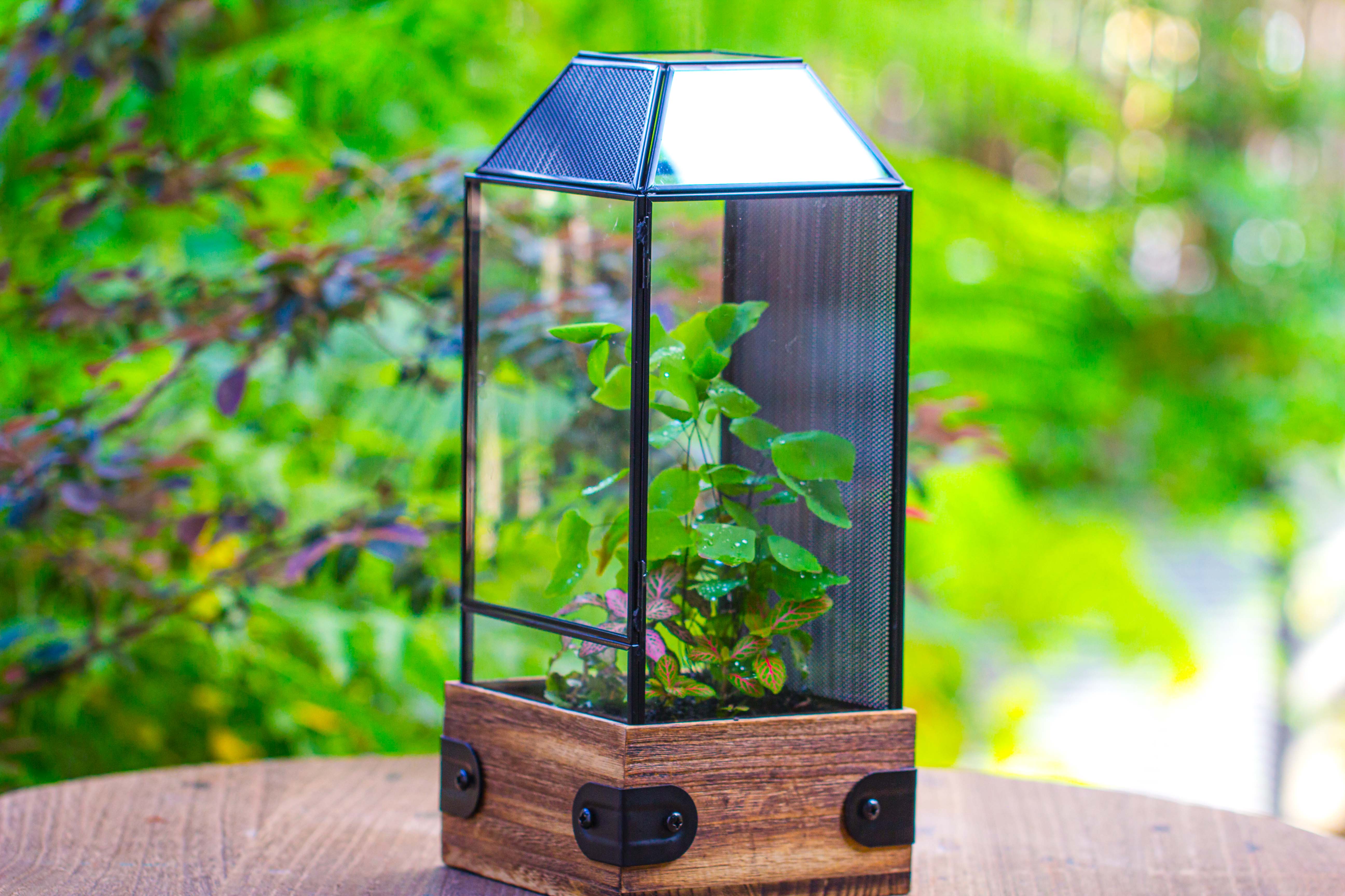 Handmade Glass Terrarium with Wood Base, Geometric Jumping Spider Enclosure, with Mesh Vent, for Plants, Snail, Insects - NCYPgarden