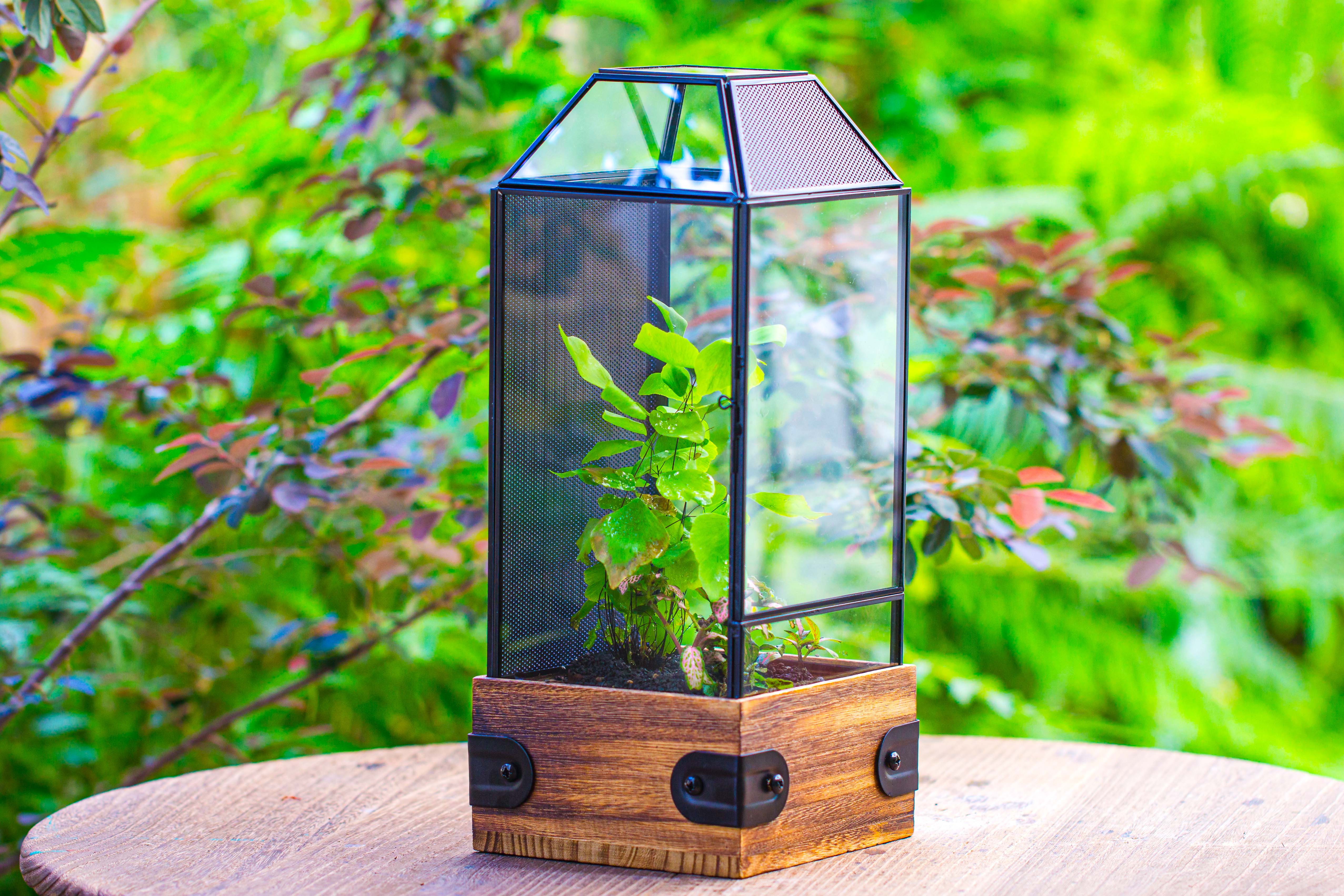 Handmade Glass Terrarium with Wood Base, Geometric Jumping Spider Enclosure, with Mesh Vent, for Plants, Snail, Insects - NCYPgarden