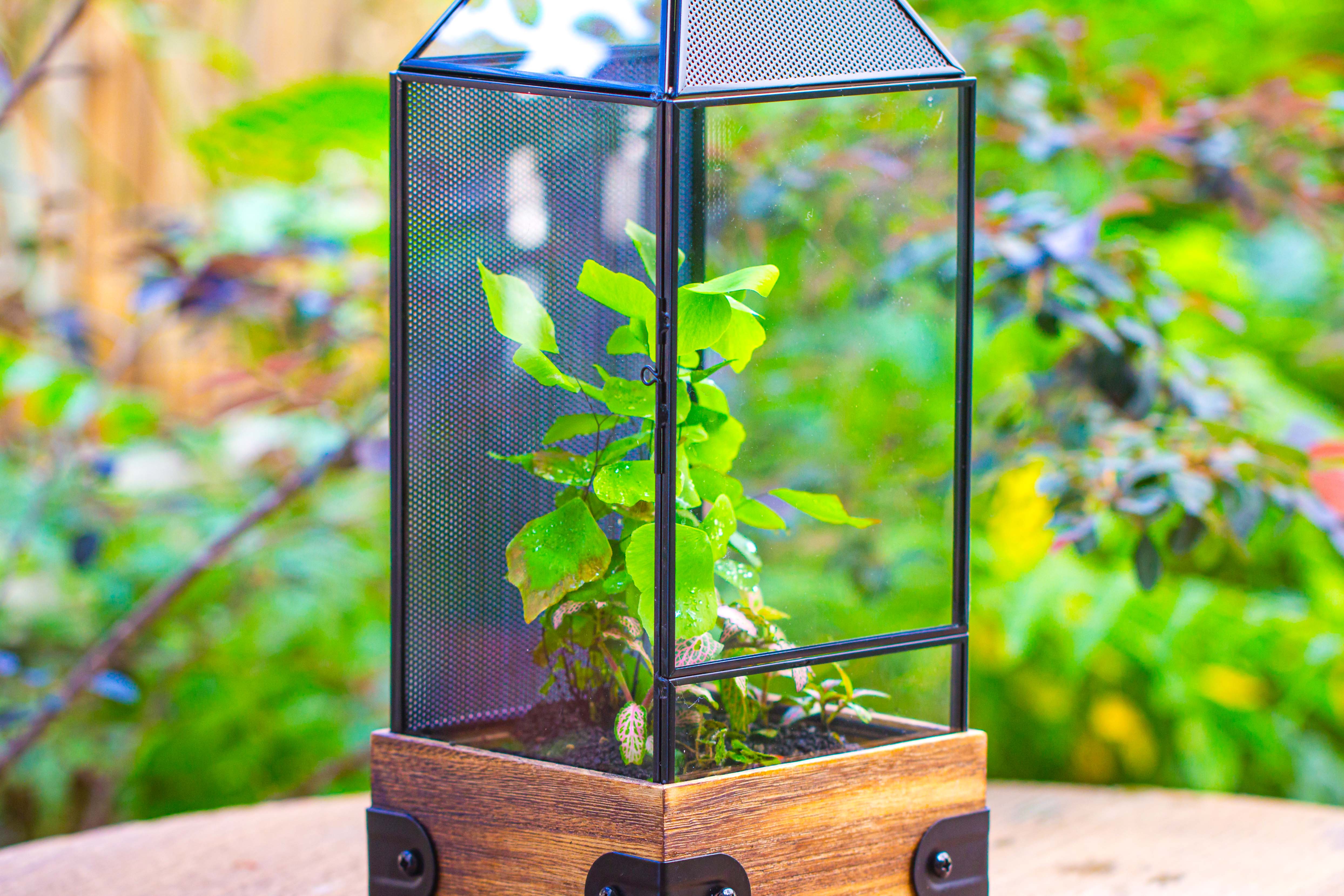Handmade Glass Terrarium with Wood Base, Geometric Jumping Spider Enclosure, with Mesh Vent, for Plants, Snail, Insects - NCYPgarden