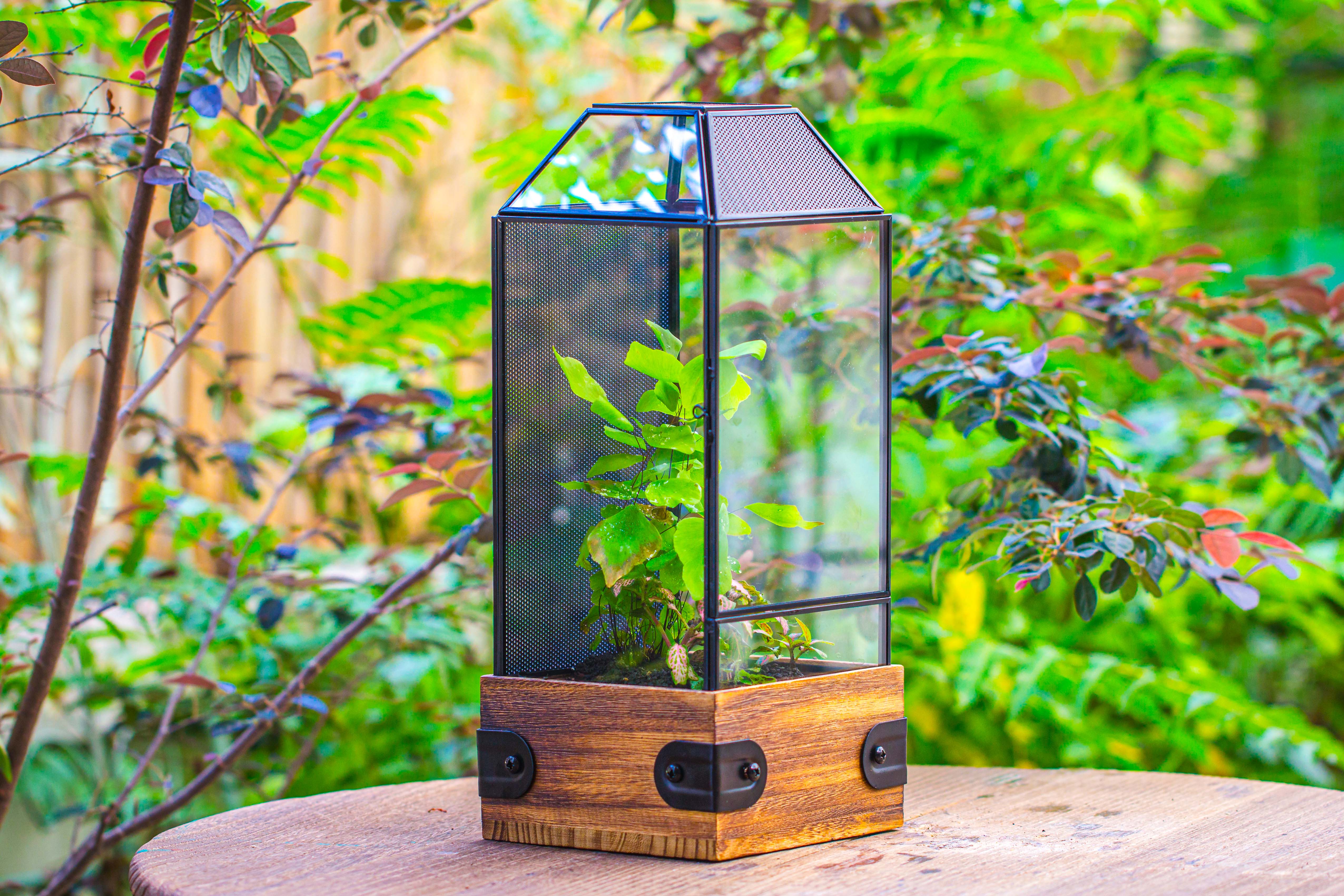 Handmade Glass Terrarium with Wood Base, Geometric Jumping Spider Enclosure, with Mesh Vent, for Plants, Snail, Insects - NCYPgarden