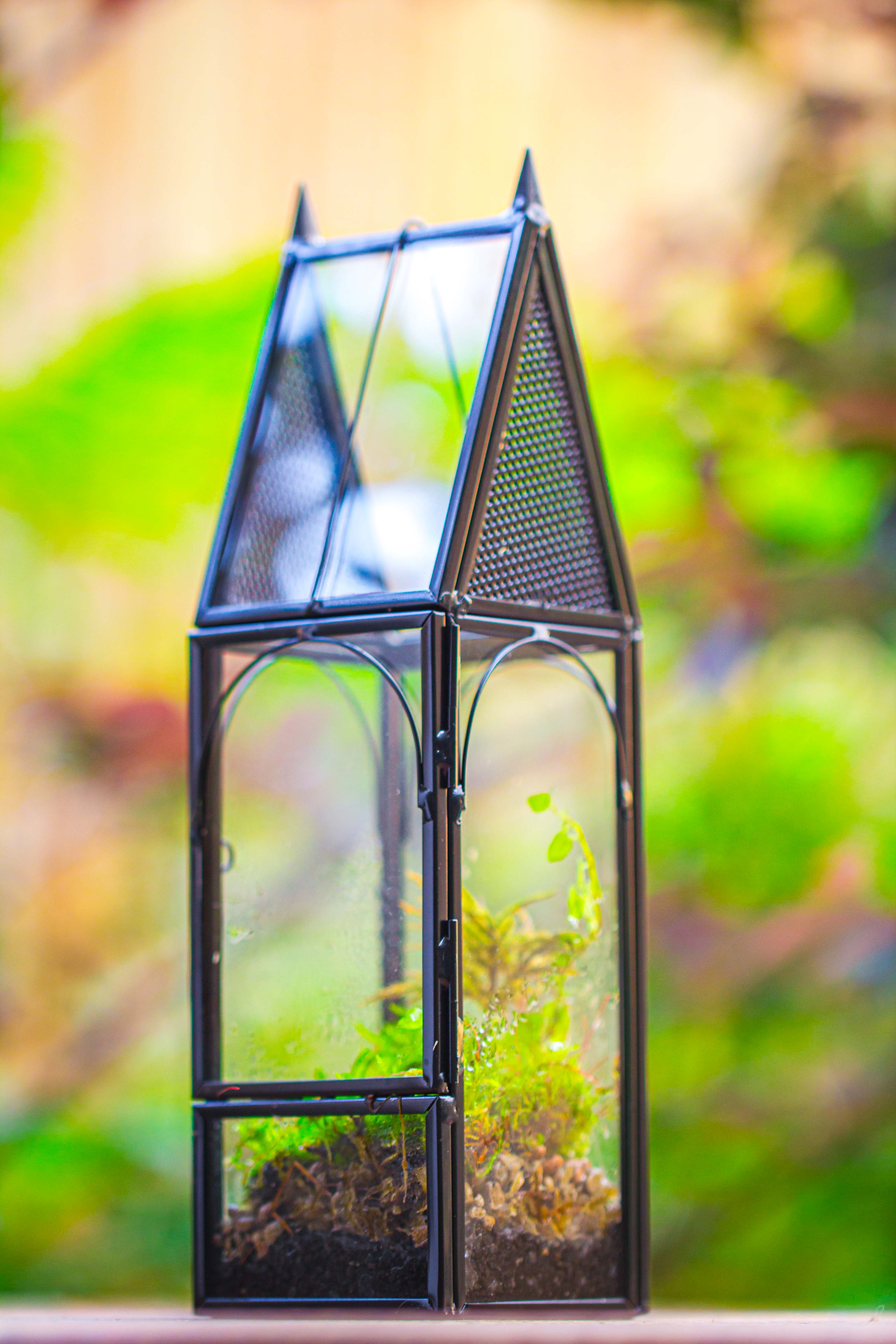 Mini tall house shape jumping spider terrarium - NCYPgarden