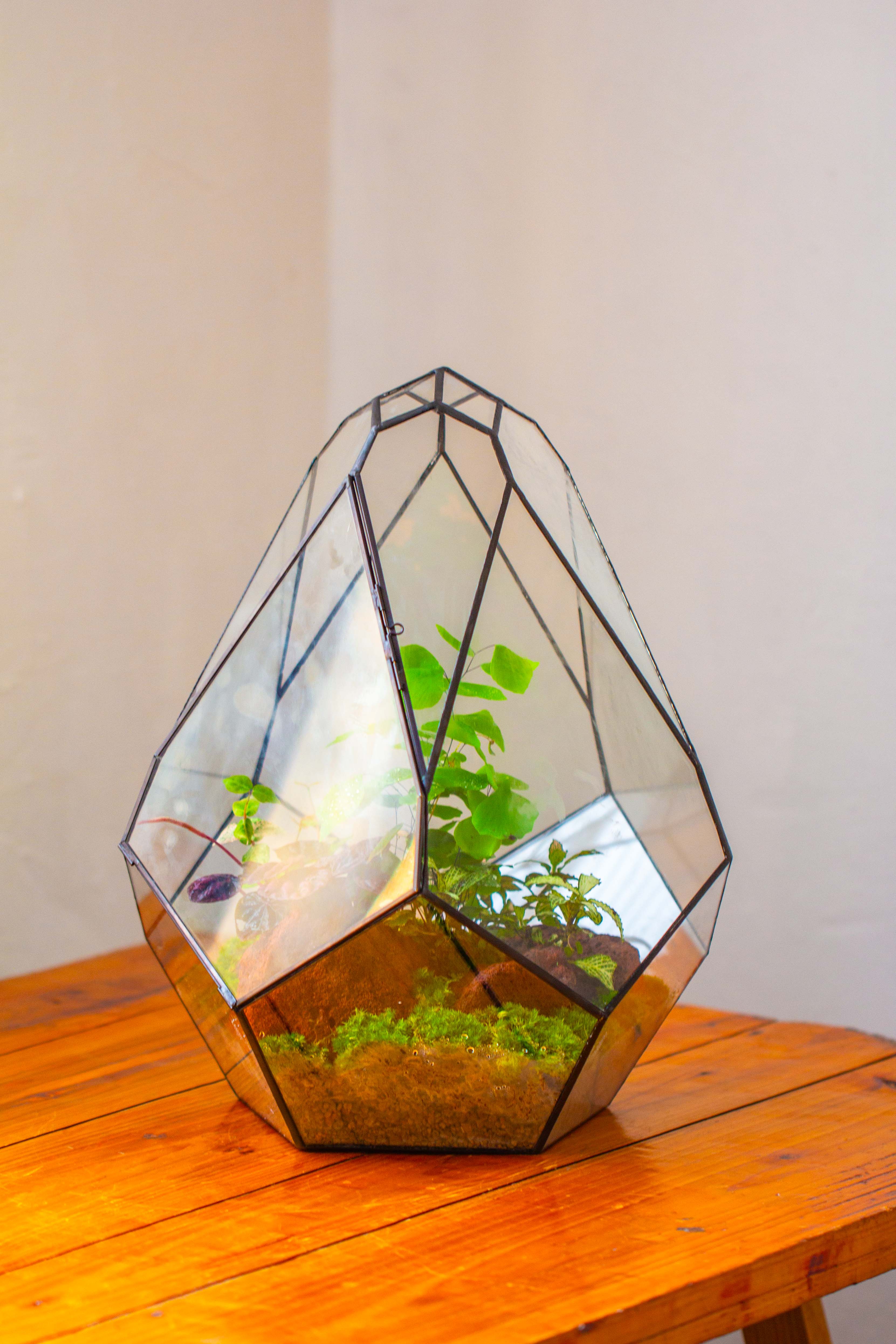 16" Large Teardrop Geometric Terrarium, close - NCYPgarden