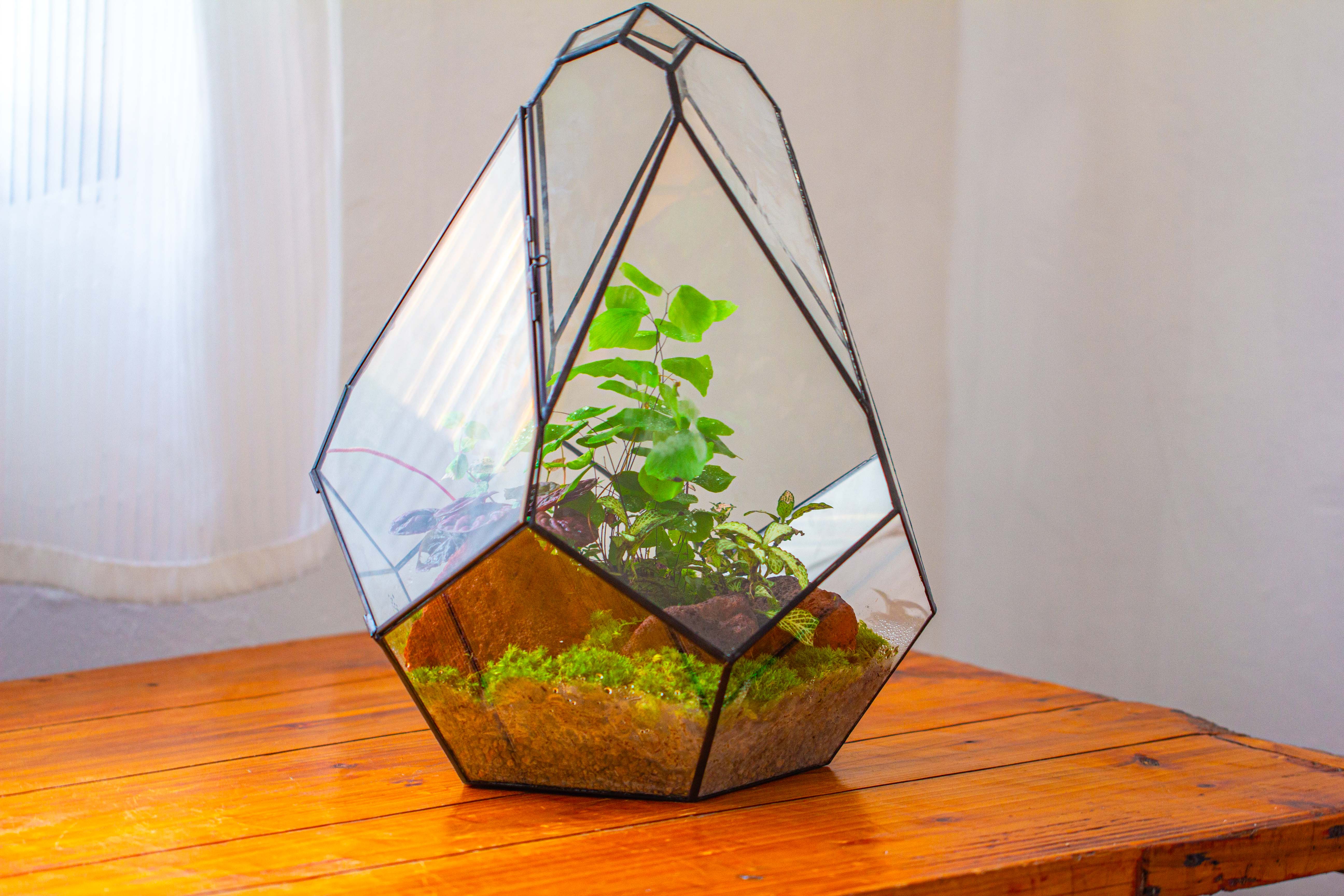 16" Large Teardrop Geometric Terrarium, close - NCYPgarden
