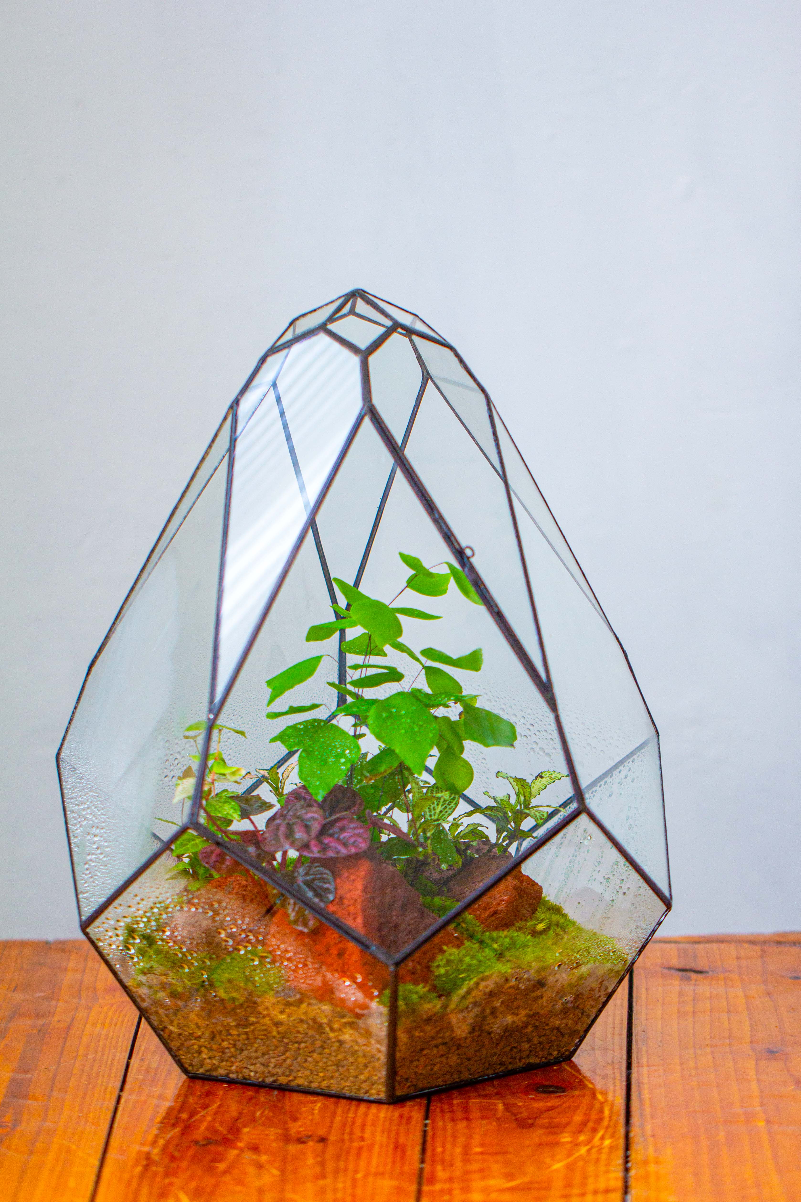 16" Large Teardrop Geometric Terrarium, close - NCYPgarden