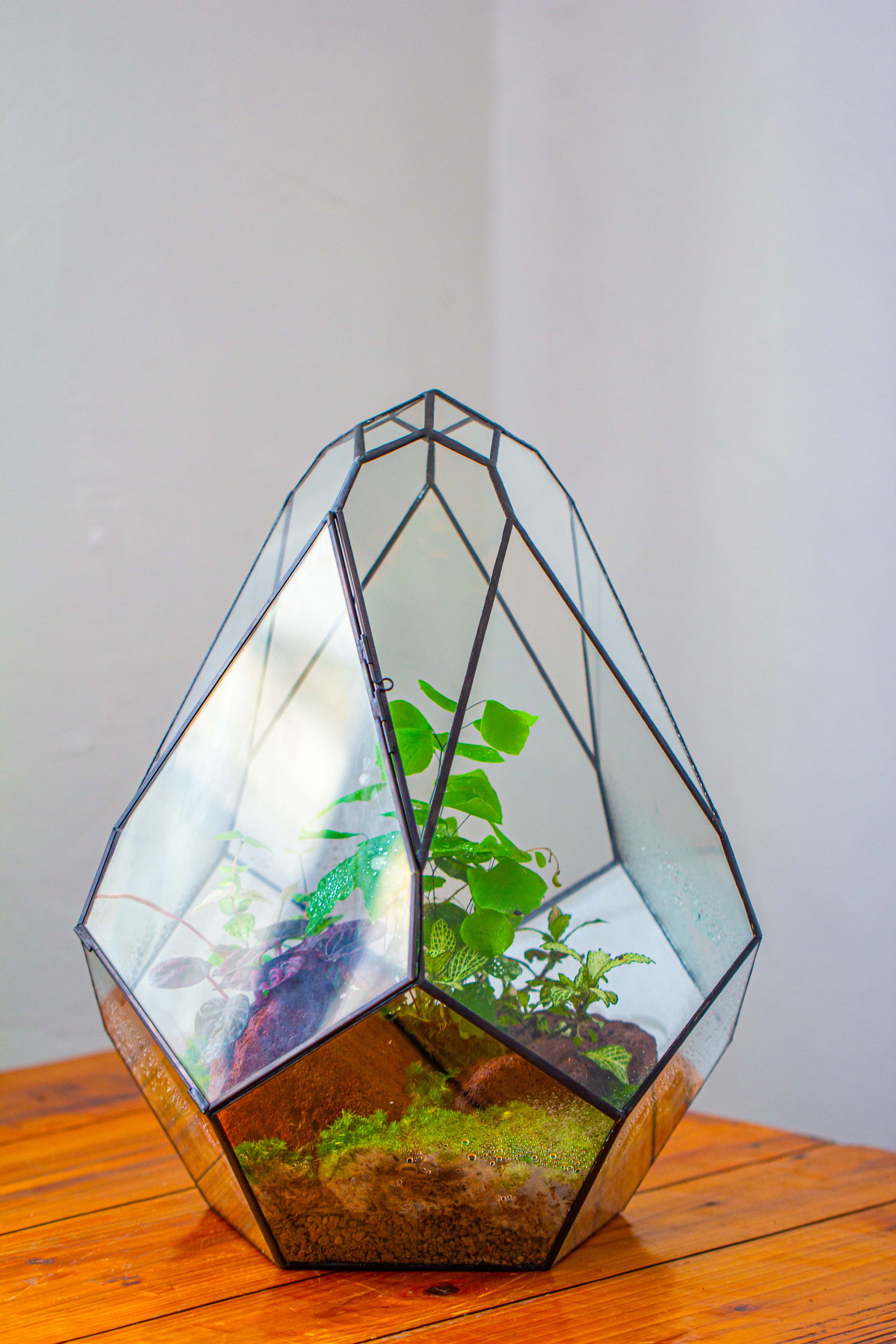 16" Large Teardrop Geometric Terrarium, close - NCYPgarden