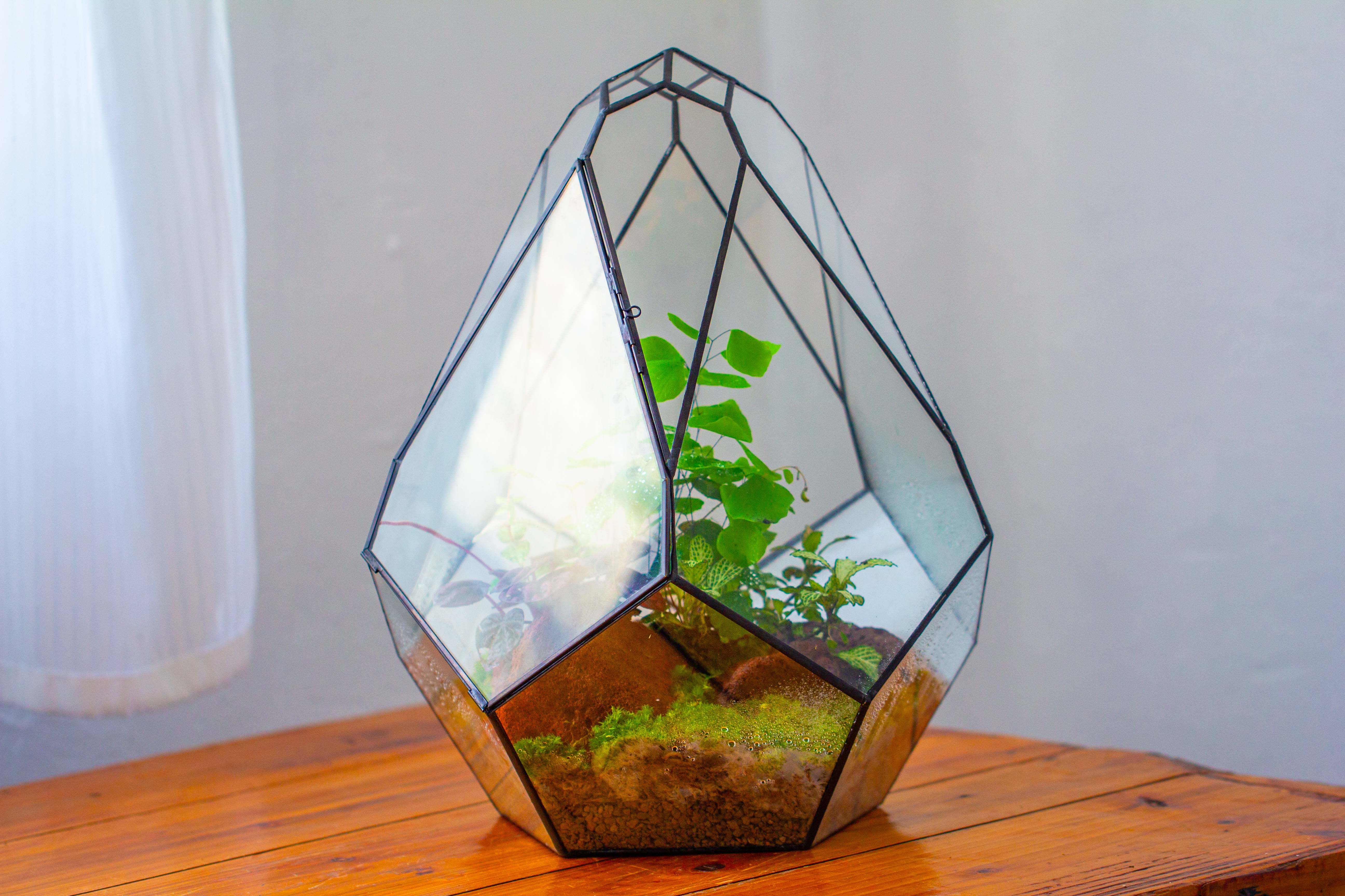 16" Large Teardrop Geometric Terrarium, close - NCYPgarden
