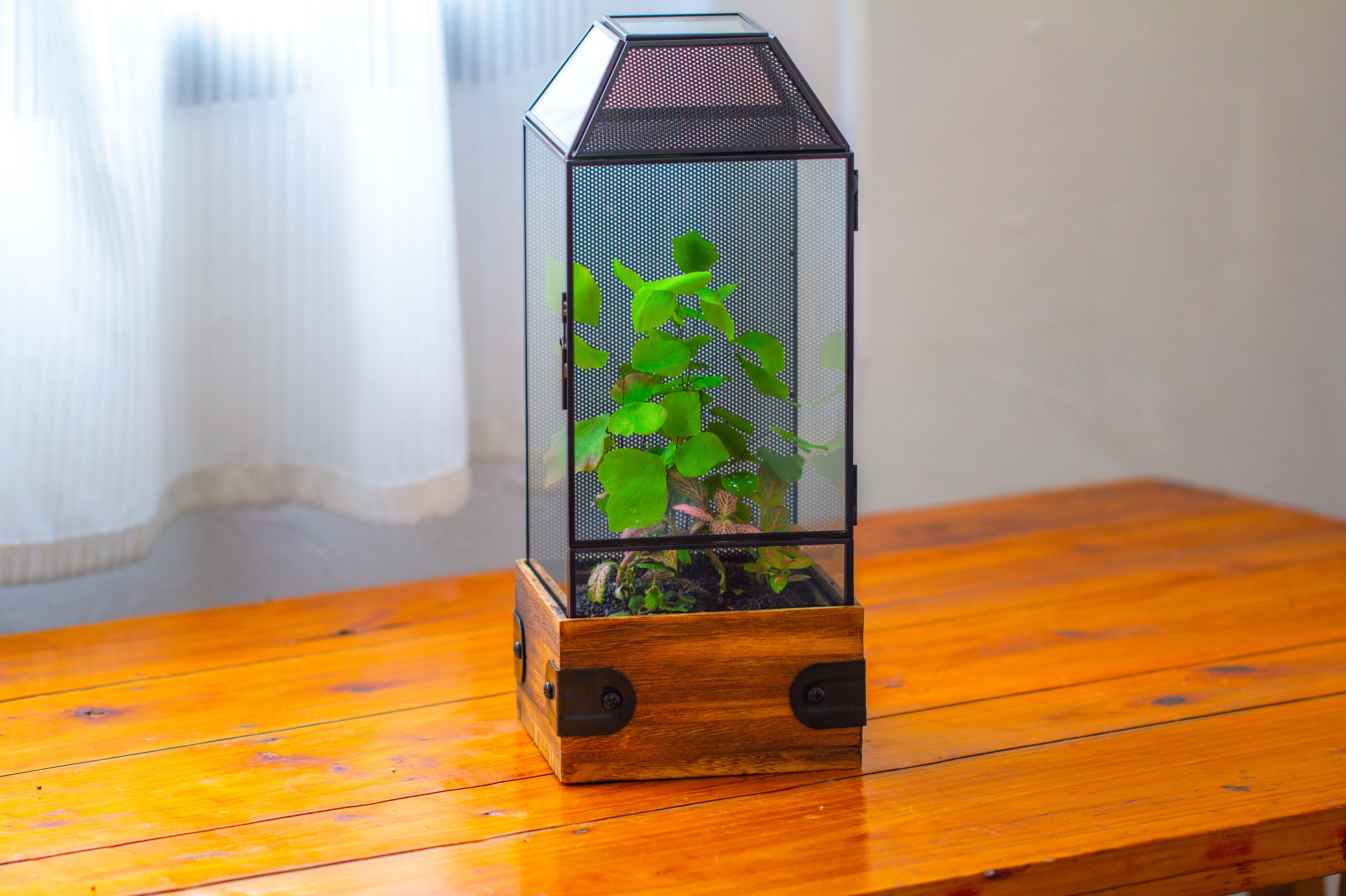 Handmade Glass Terrarium with Wood Base, Geometric Jumping Spider Enclosure, with Mesh Vent, for Plants, Snail, Insects - NCYPgarden