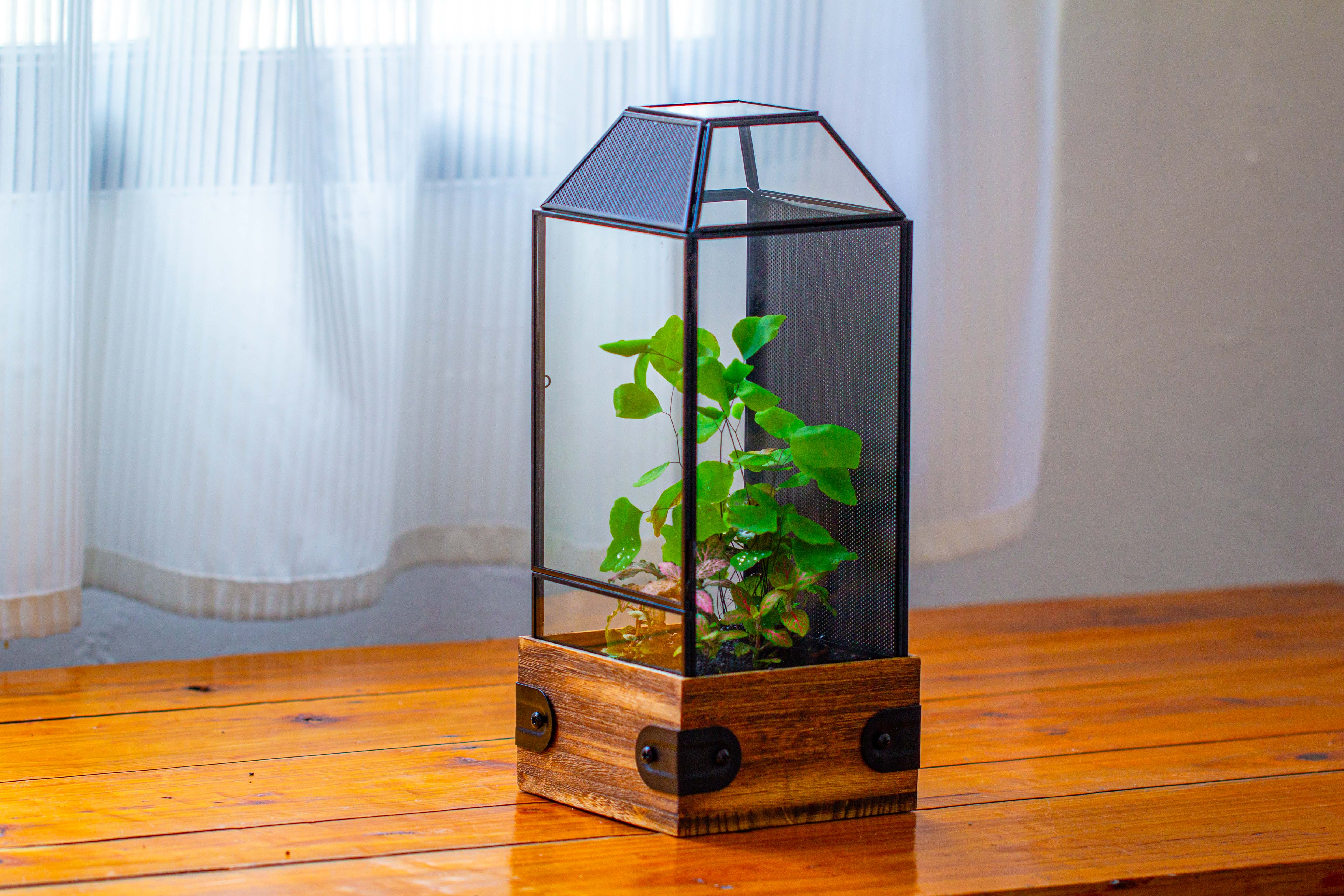 Handmade Glass Terrarium with Wood Base, Geometric Jumping Spider Enclosure, with Mesh Vent, for Plants, Snail, Insects - NCYPgarden