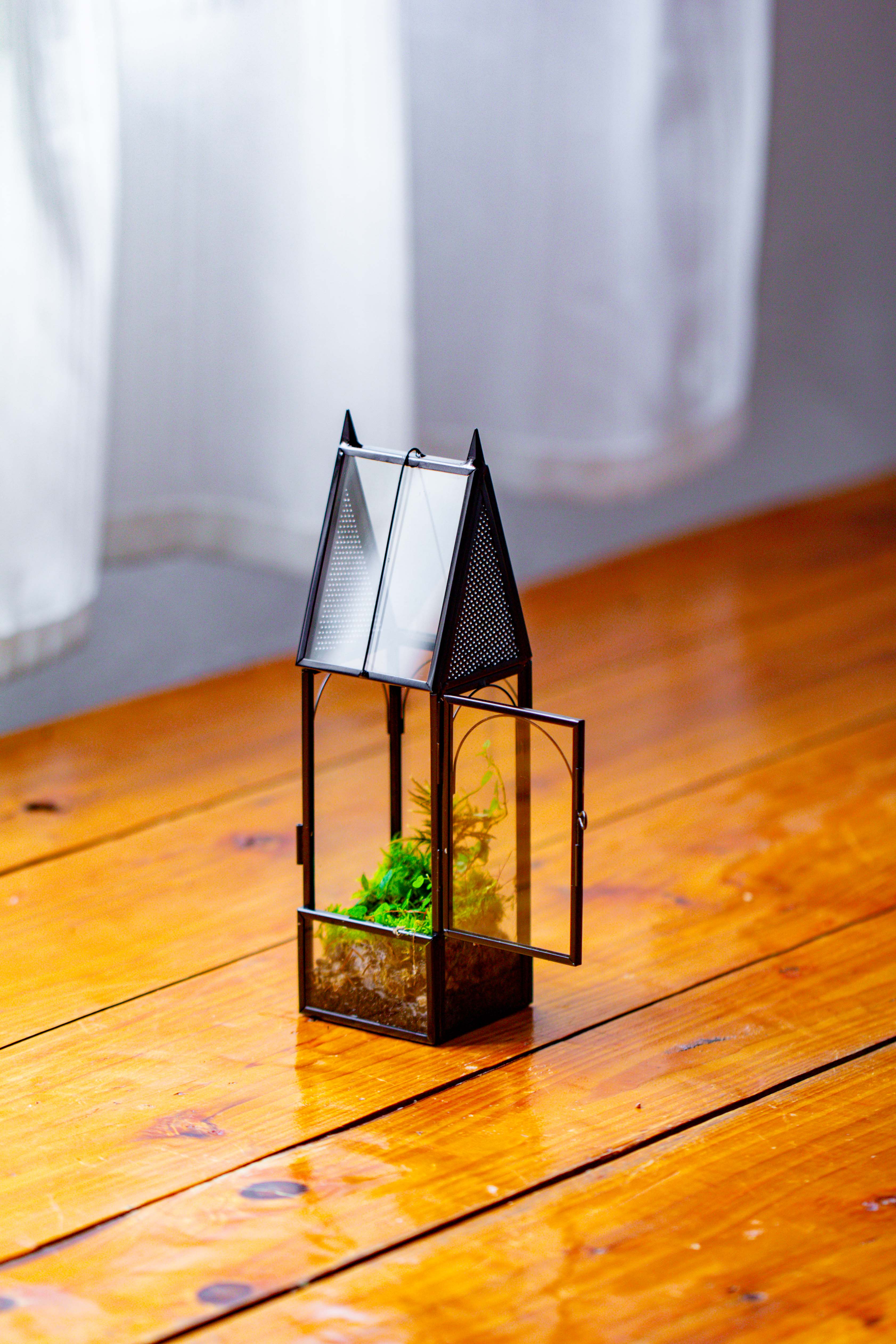 Mini tall house shape jumping spider terrarium - NCYPgarden