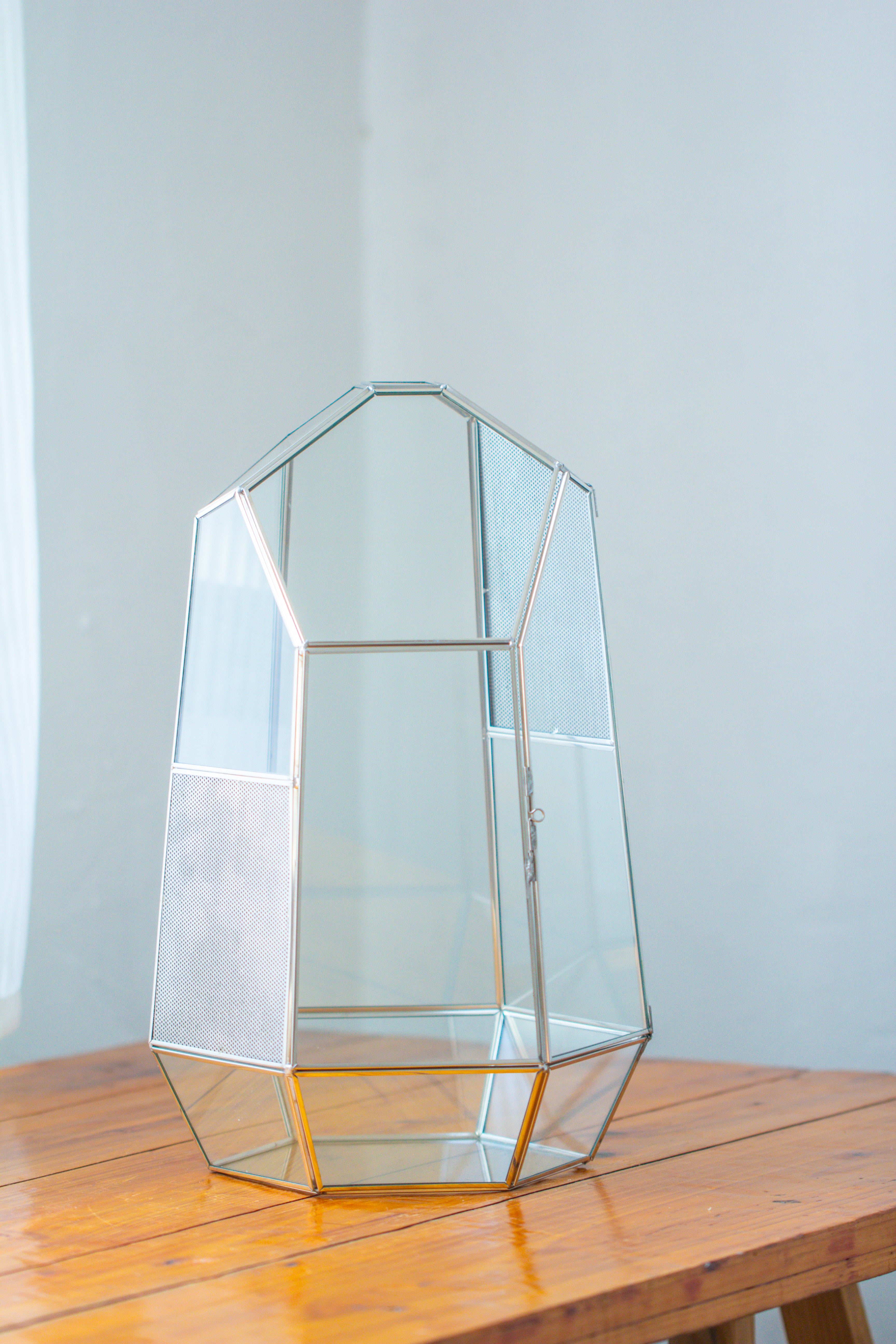 16.1" Large Irregular Geometric Glass Terrarium, Close,  vented Silver, for tropical plants, and large insects - NCYPgarden