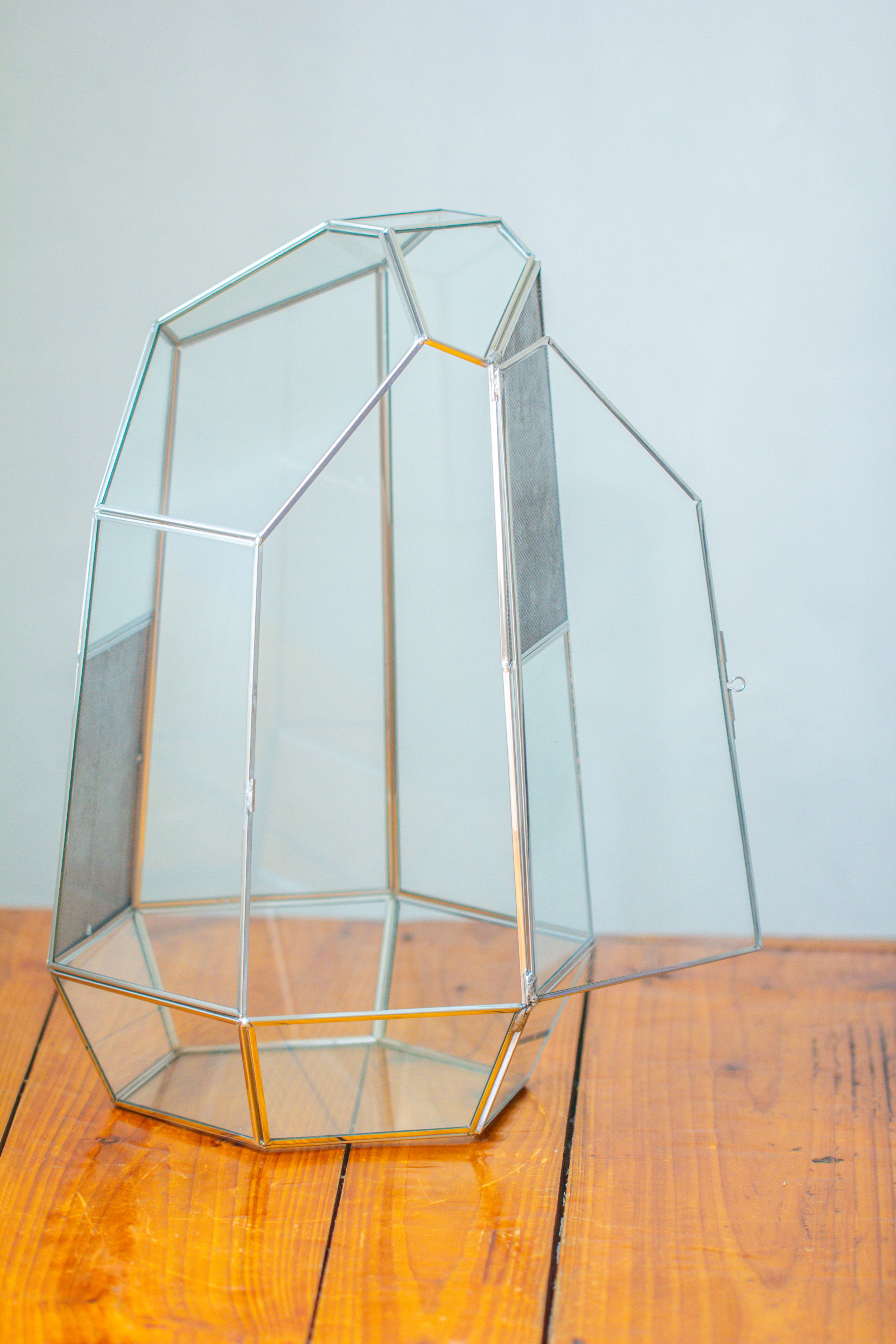 16.1" Large Irregular Geometric Glass Terrarium, Close,  vented Silver, for tropical plants, and large insects - NCYPgarden