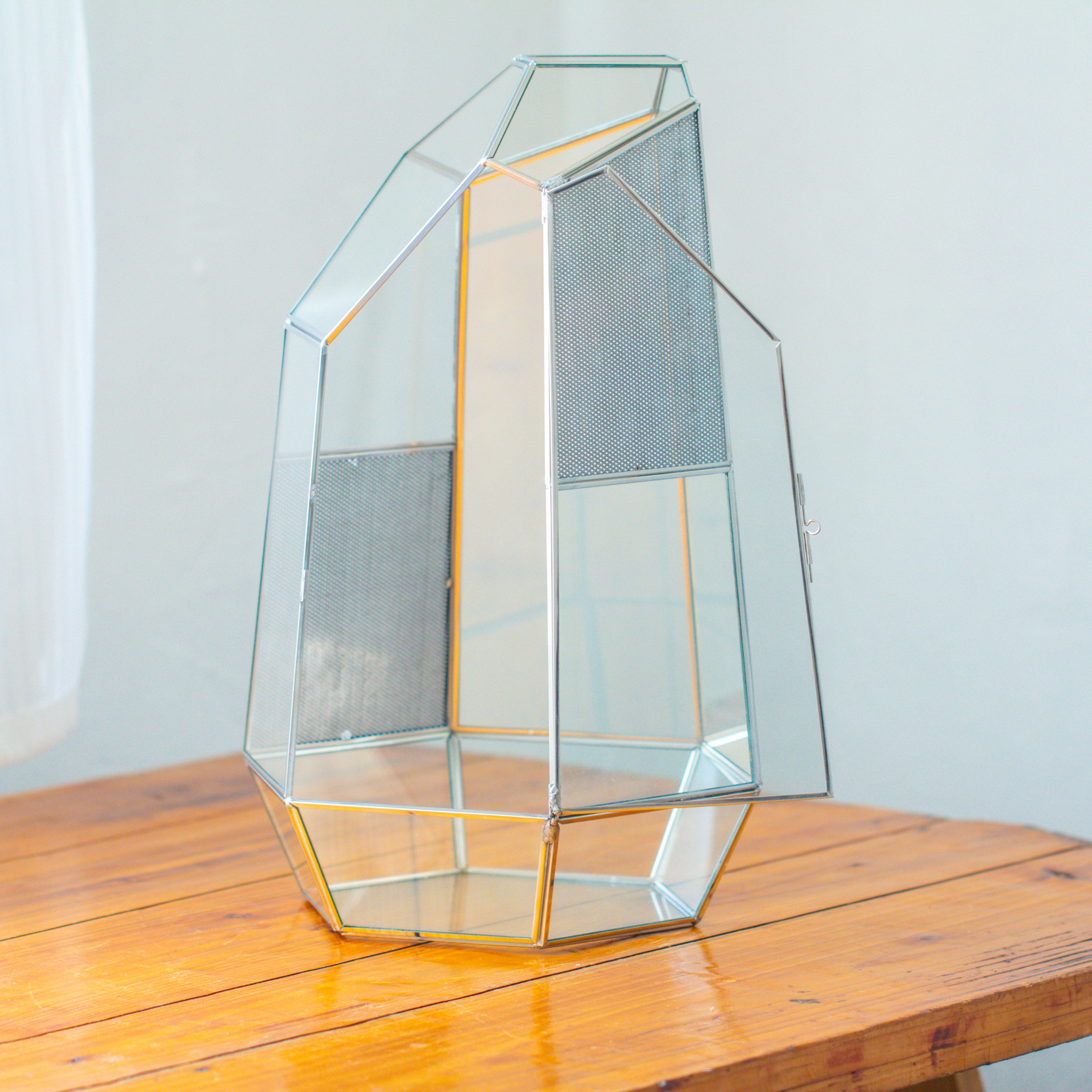 16.1" Large Irregular Geometric Glass Terrarium, Close,  vented Silver, for tropical plants, and large insects - NCYPgarden