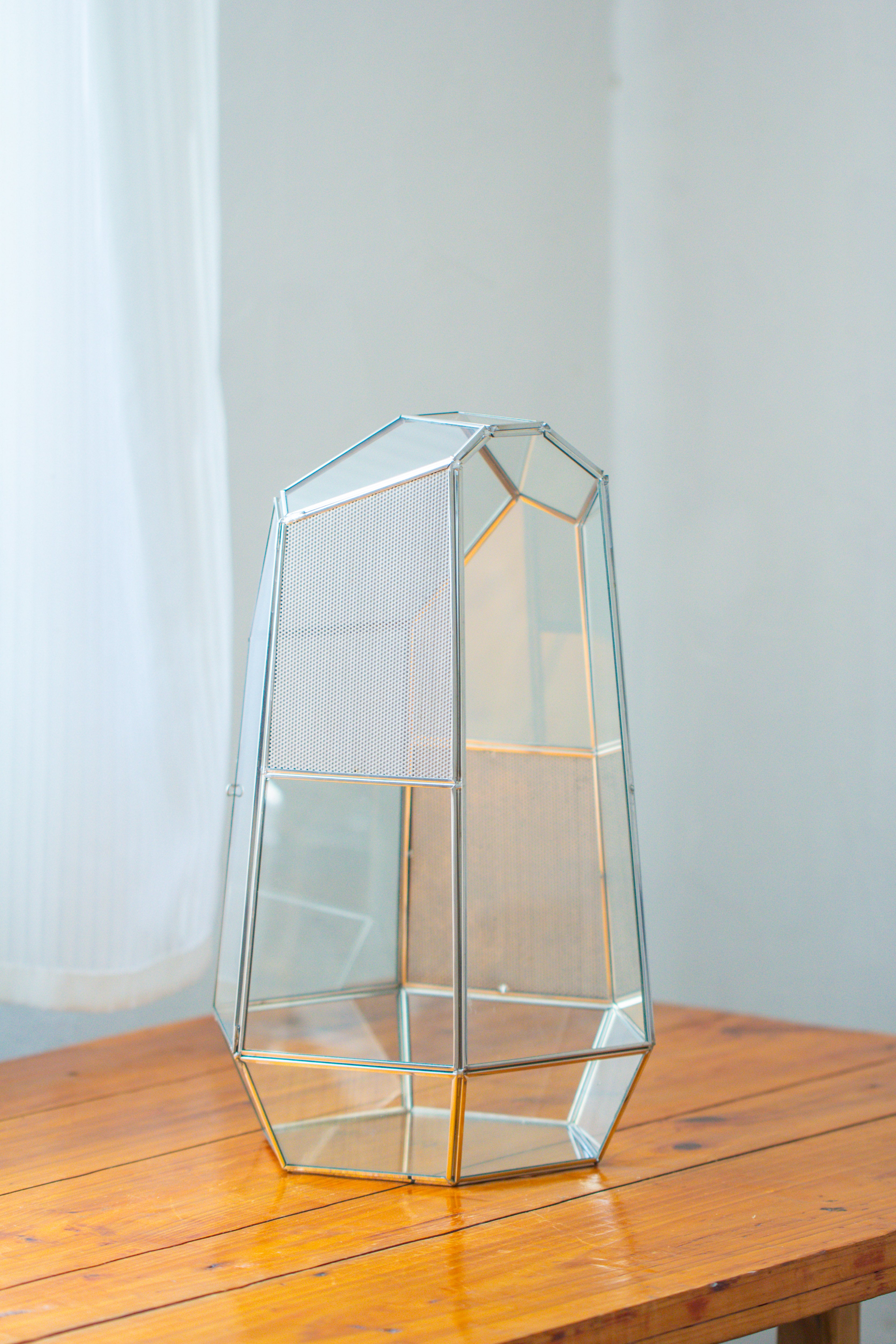 16.1" Large Irregular Geometric Glass Terrarium, Close,  vented Silver, for tropical plants, and large insects - NCYPgarden
