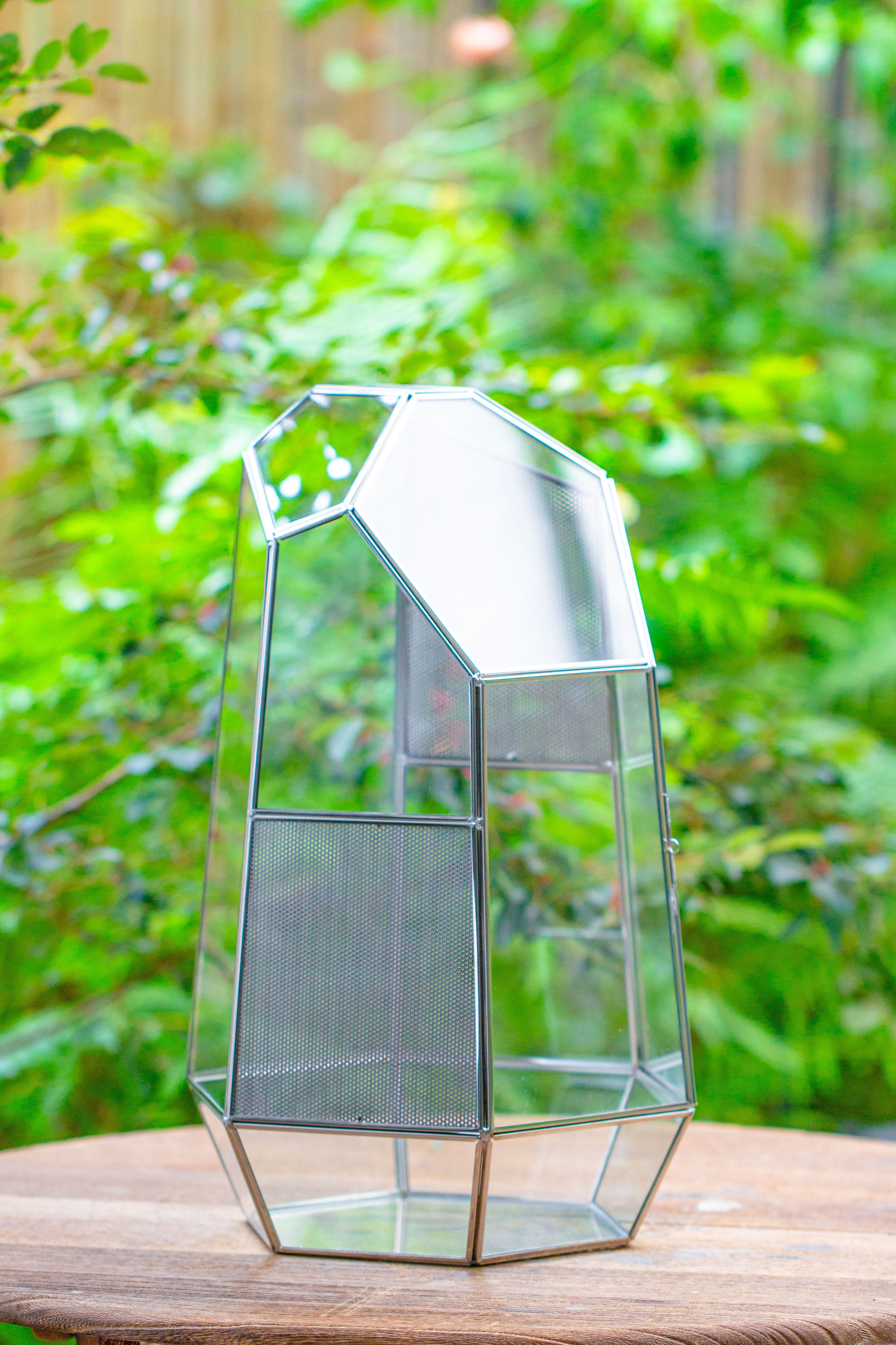 16.1" Large Irregular Geometric Glass Terrarium, Close,  vented Silver, for tropical plants, and large insects - NCYPgarden