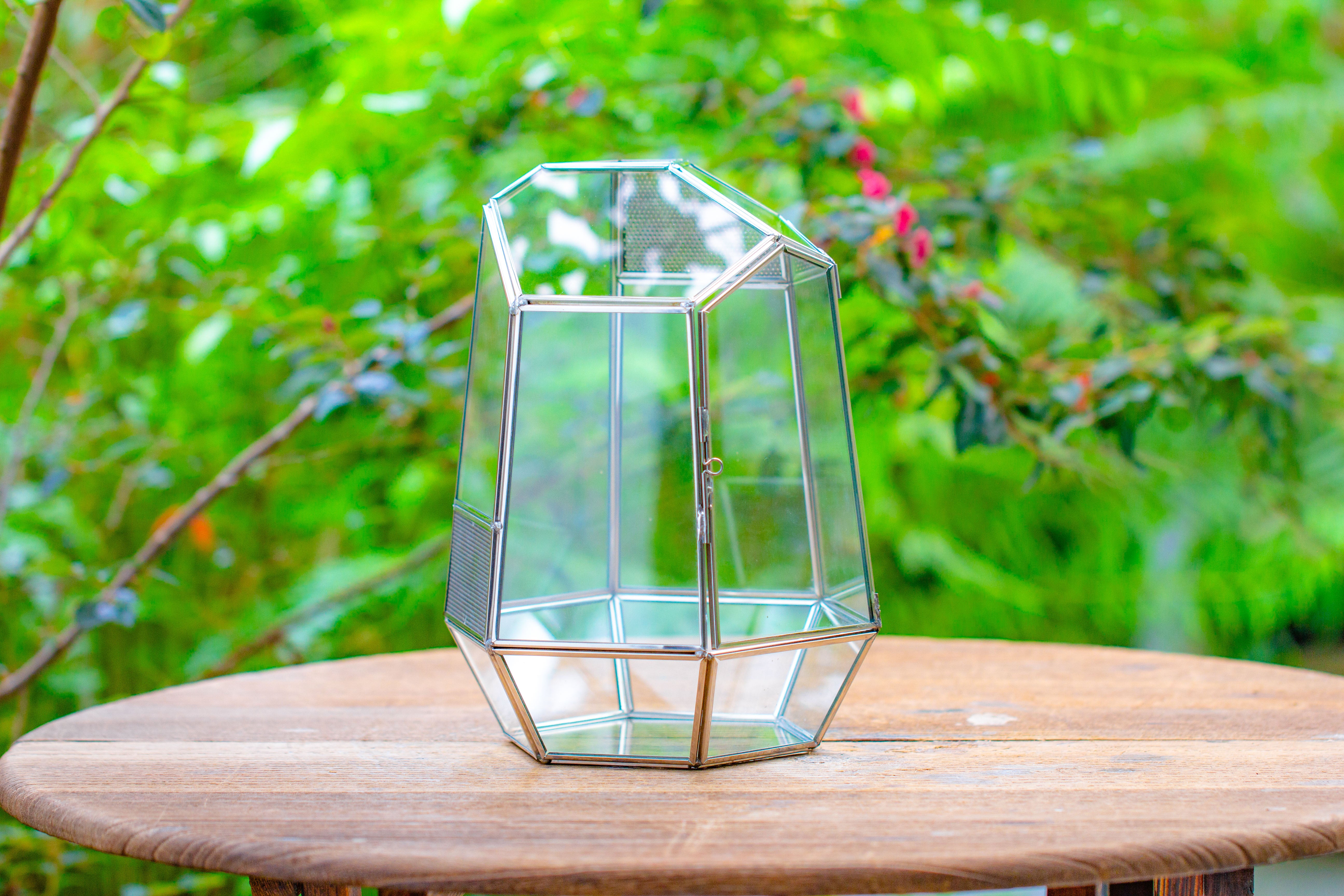 Silver 9.8" Irregular Geometric Glass Terrarium, Close, well vented, for tropical plants, and insects - NCYPgarden
