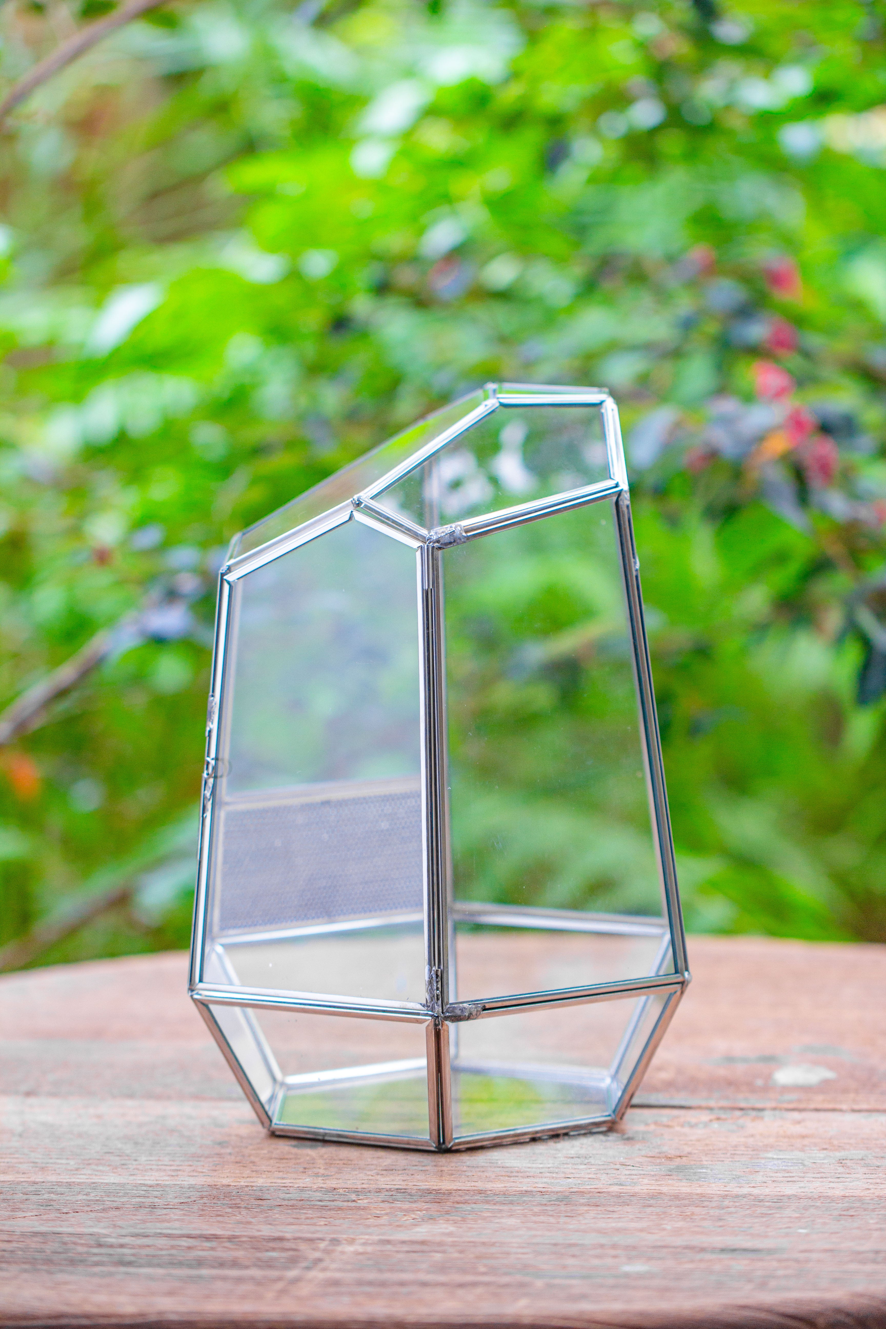 Silver 9.8" Irregular Geometric Glass Terrarium, Close, well vented, for tropical plants, and insects - NCYPgarden