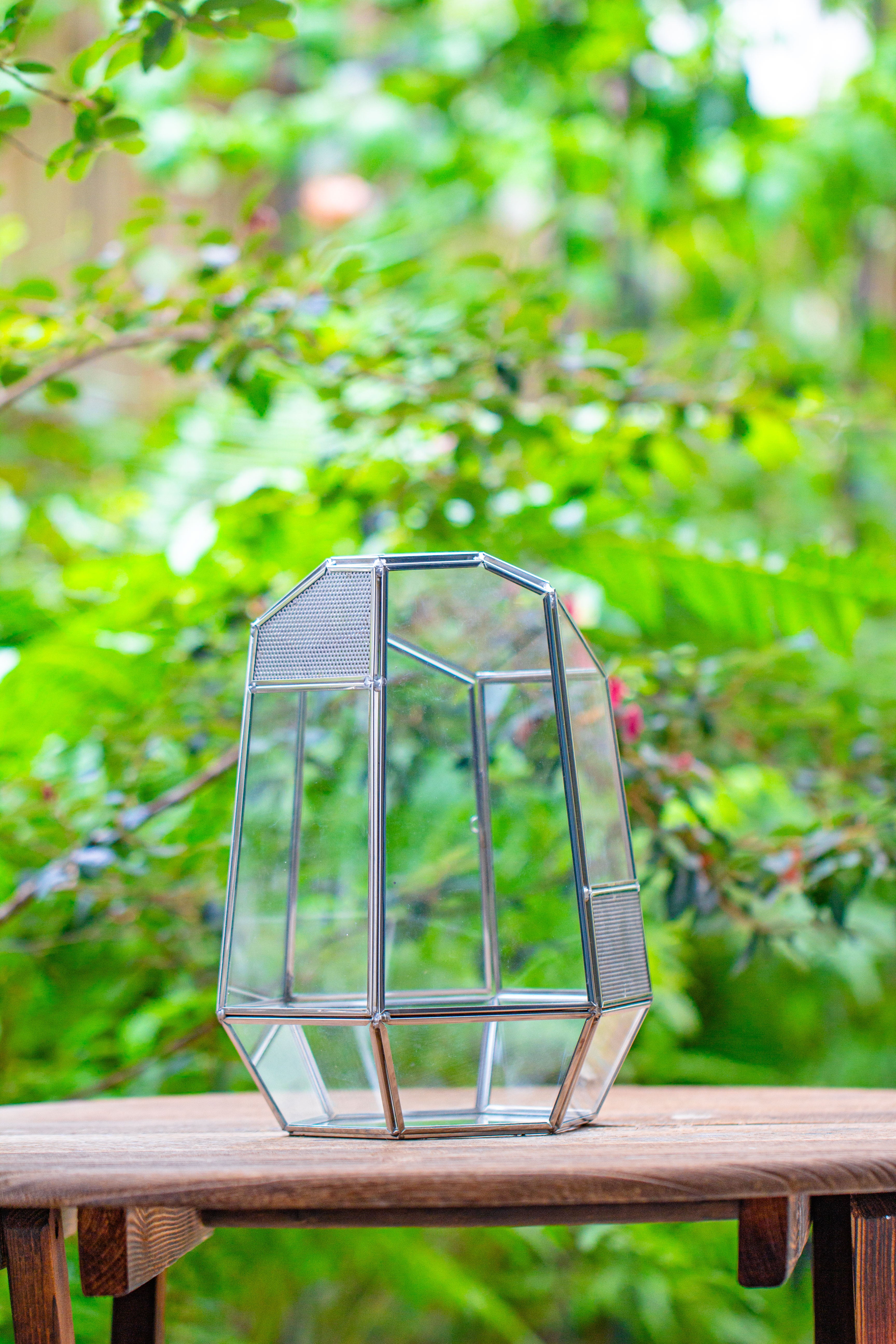 Silver 9.8" Irregular Geometric Glass Terrarium, Close, well vented, for tropical plants, and insects - NCYPgarden