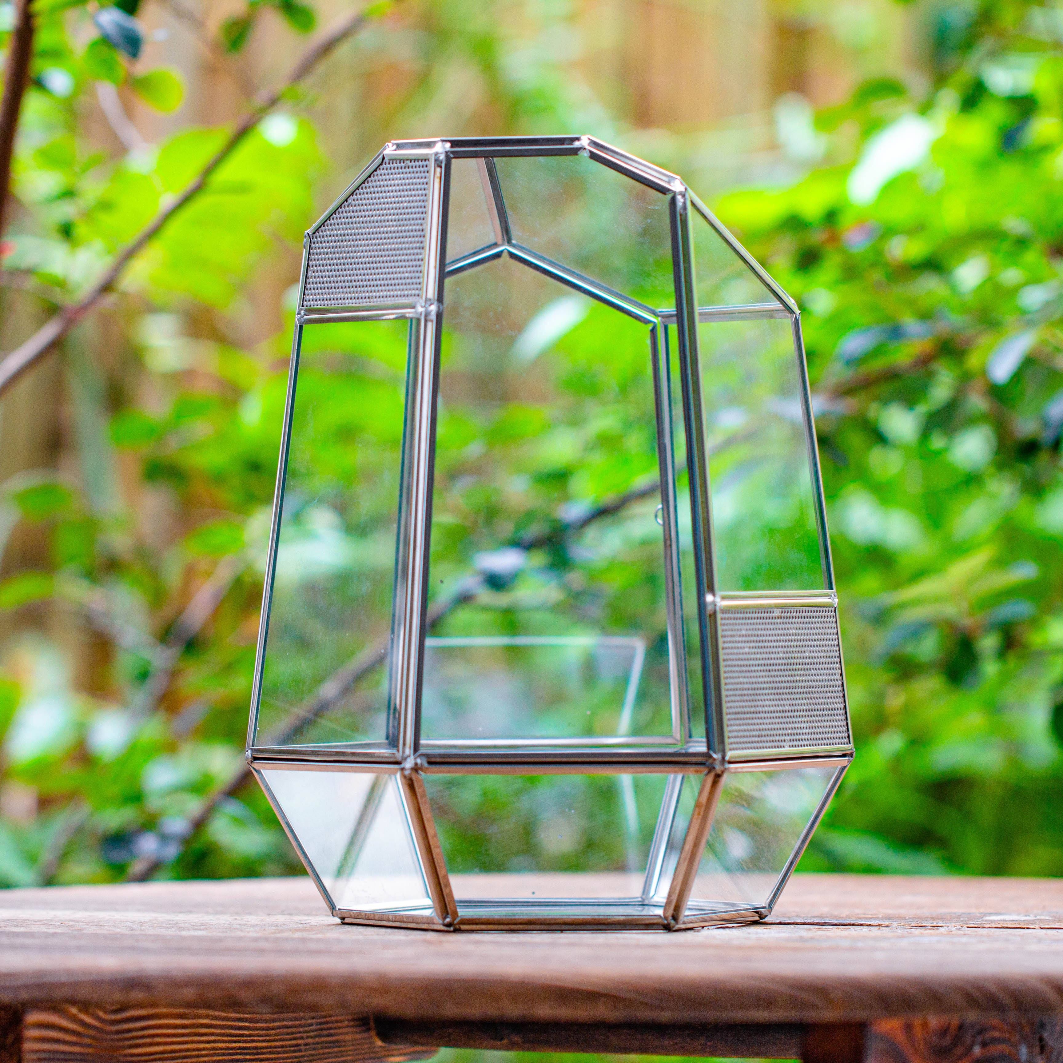 Silver 9.8" Irregular Geometric Glass Terrarium, Close, well vented, for tropical plants, and insects - NCYPgarden