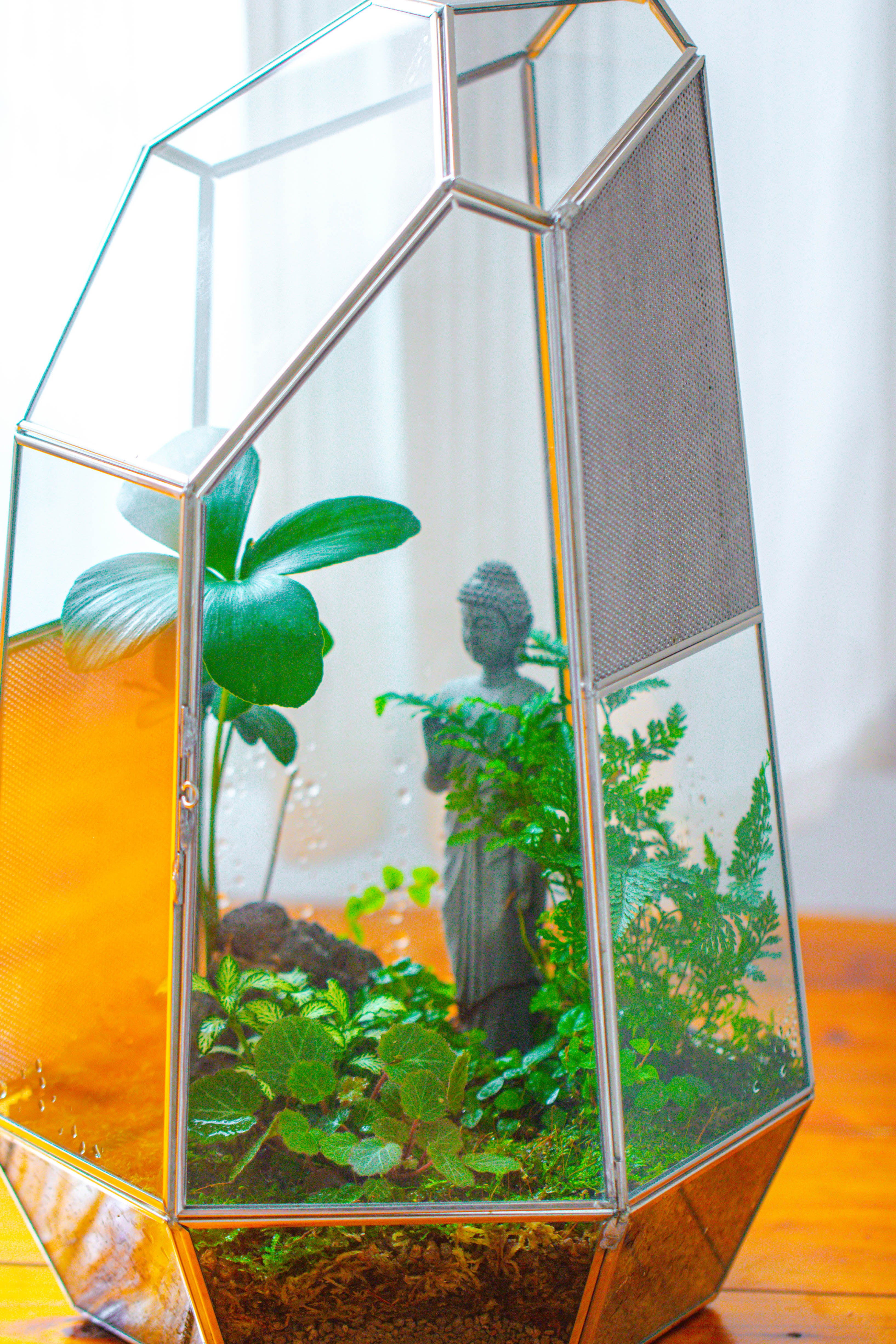 16.1" Large Irregular Geometric Glass Terrarium, Close,  vented Silver, for tropical plants, and large insects - NCYPgarden