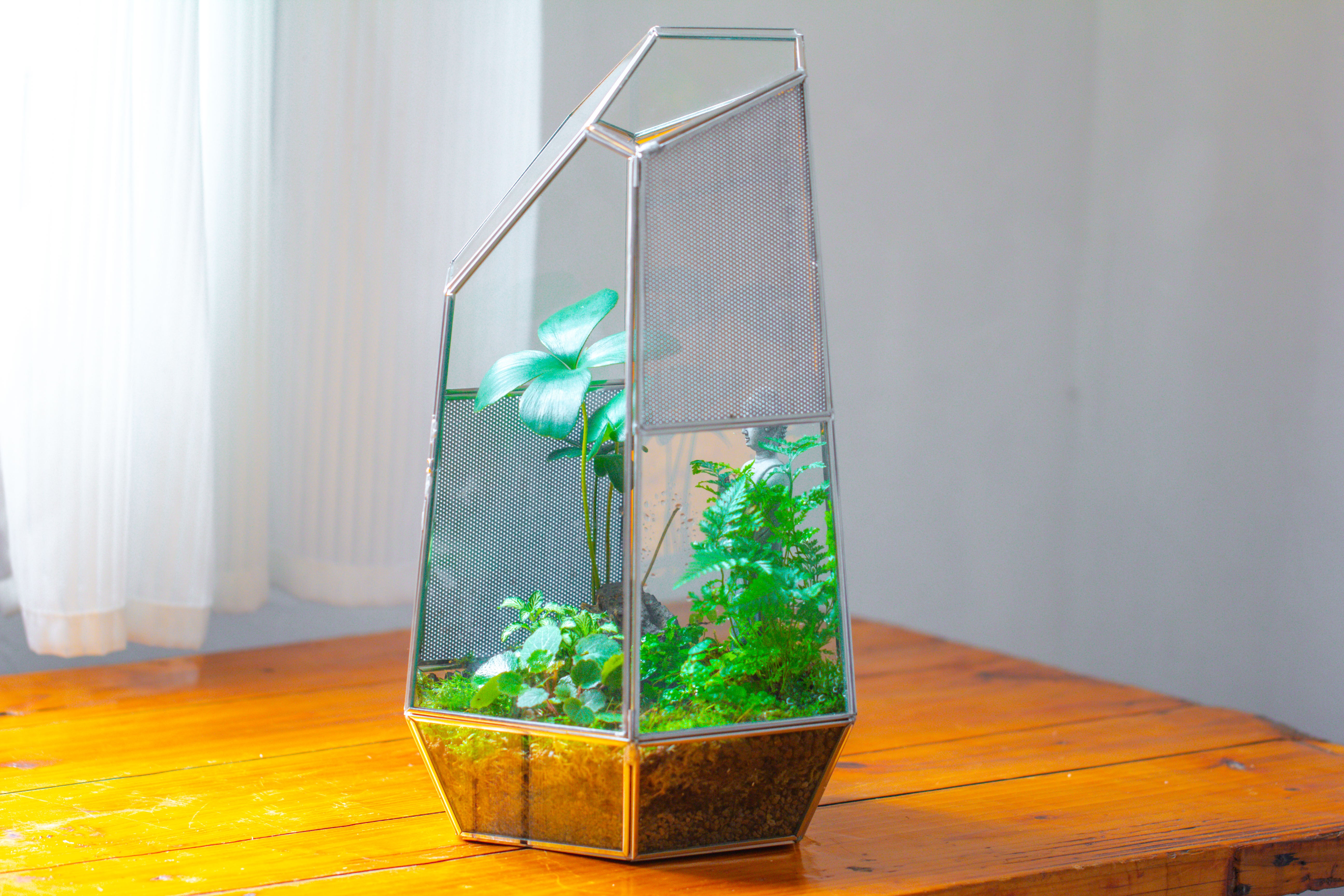 16.1" Large Irregular Geometric Glass Terrarium, Close,  vented Silver, for tropical plants, and large insects - NCYPgarden