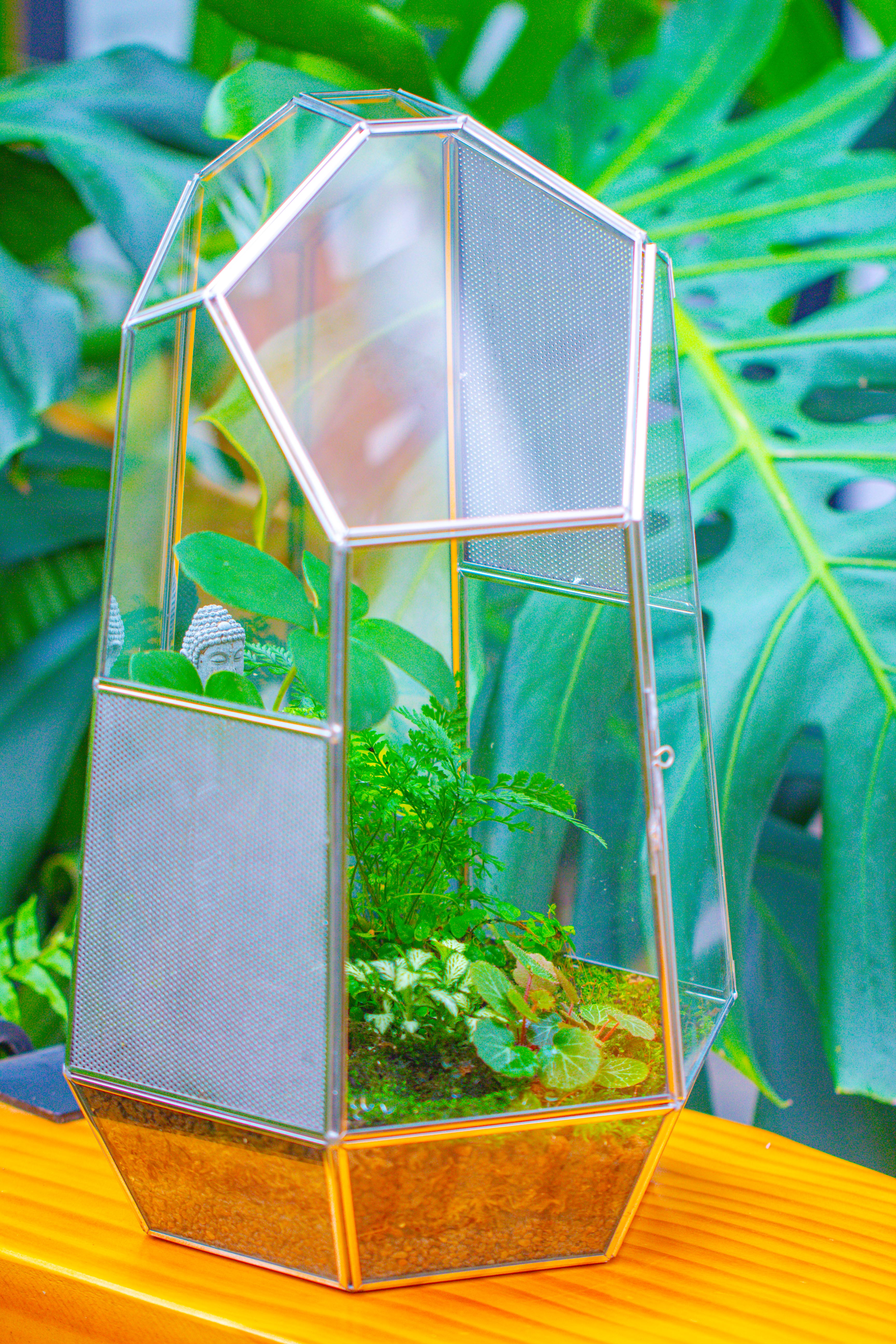 16.1" Large Irregular Geometric Glass Terrarium, Close,  vented Silver, for tropical plants, and large insects - NCYPgarden