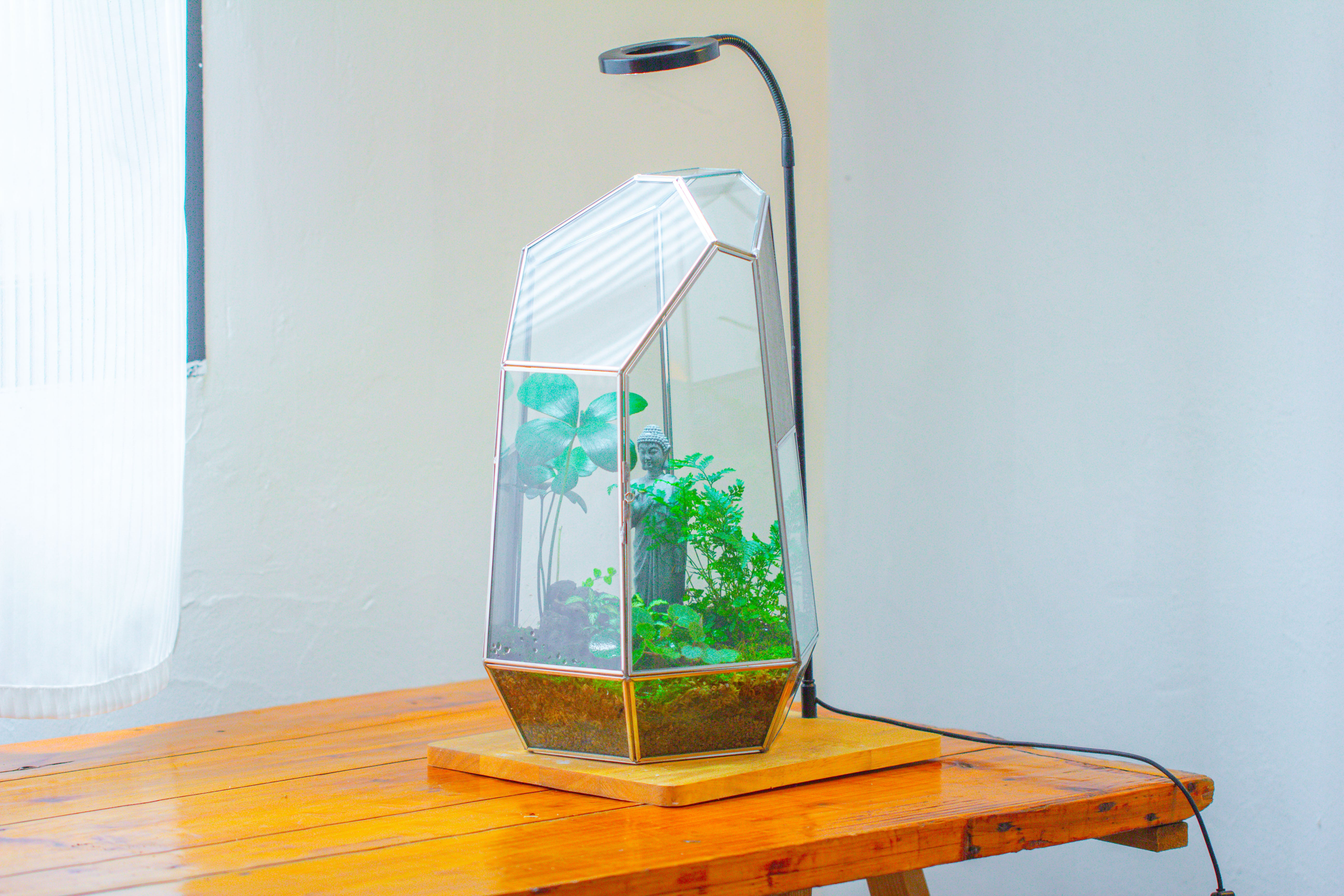 16.1" Large Irregular Geometric Glass Terrarium, Close,  vented Silver, for tropical plants, and large insects - NCYPgarden