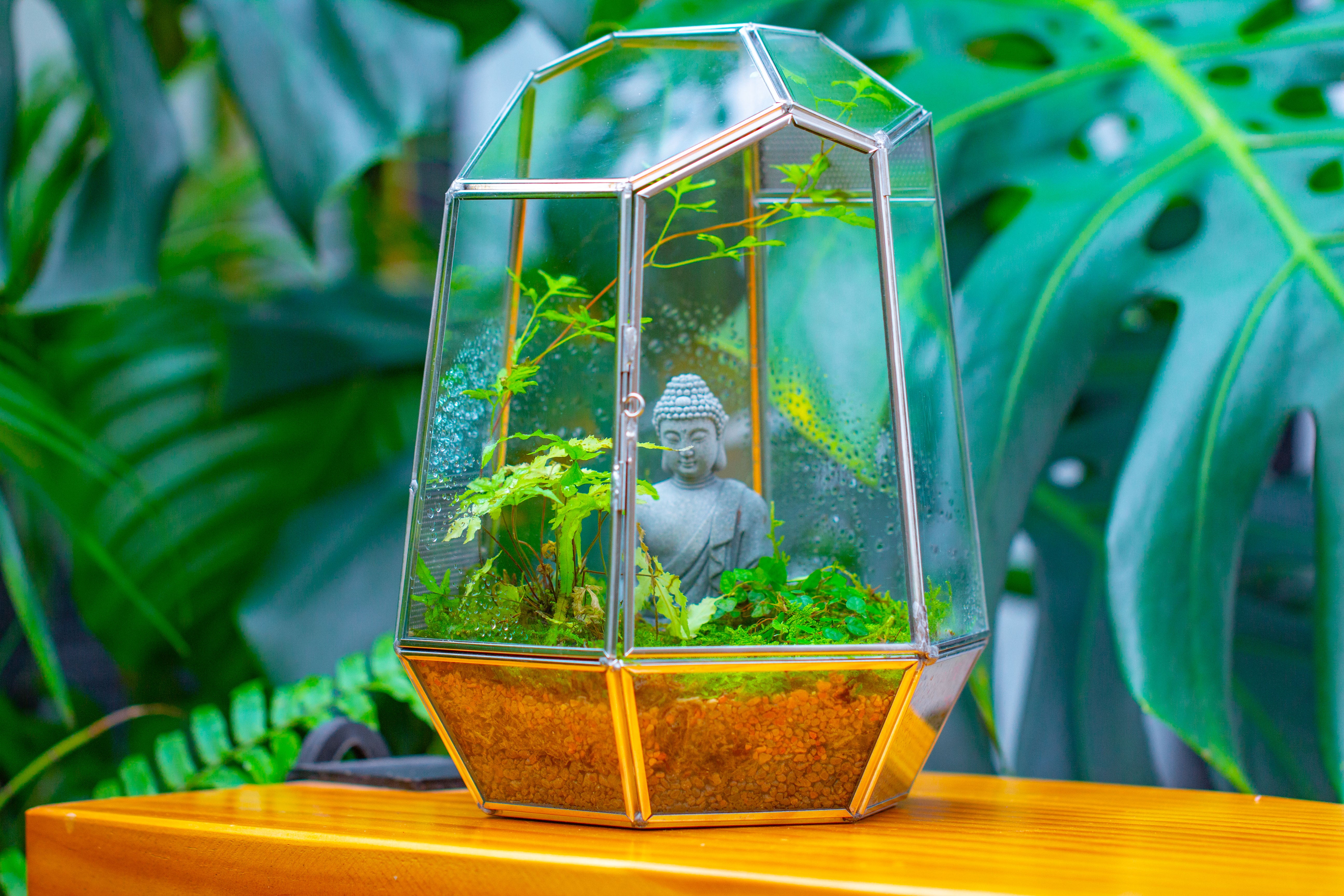 Silver 9.8" Irregular Geometric Glass Terrarium, Close, well vented, for tropical plants, and insects - NCYPgarden