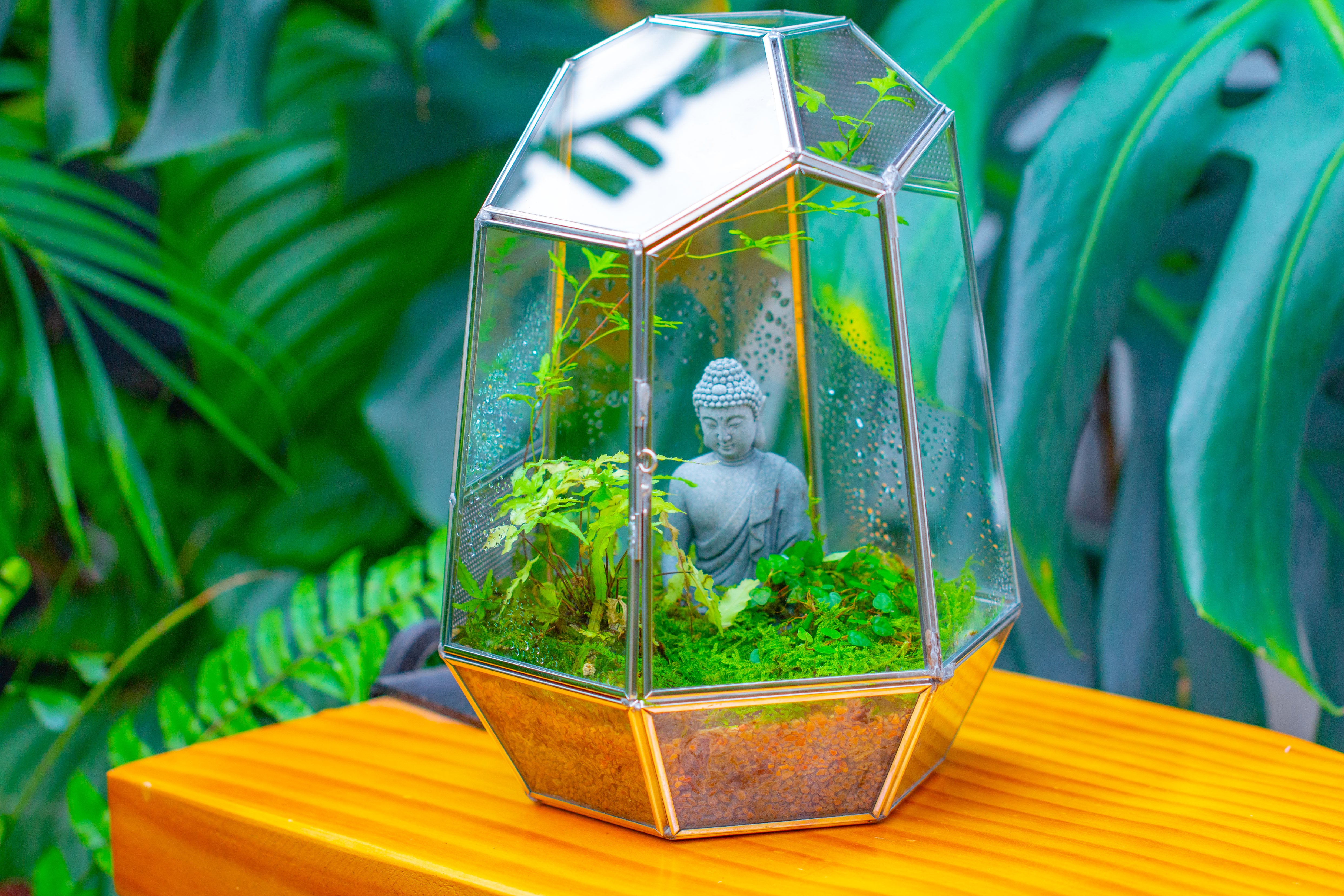 Silver 9.8" Irregular Geometric Glass Terrarium, Close, well vented, for tropical plants, and insects - NCYPgarden