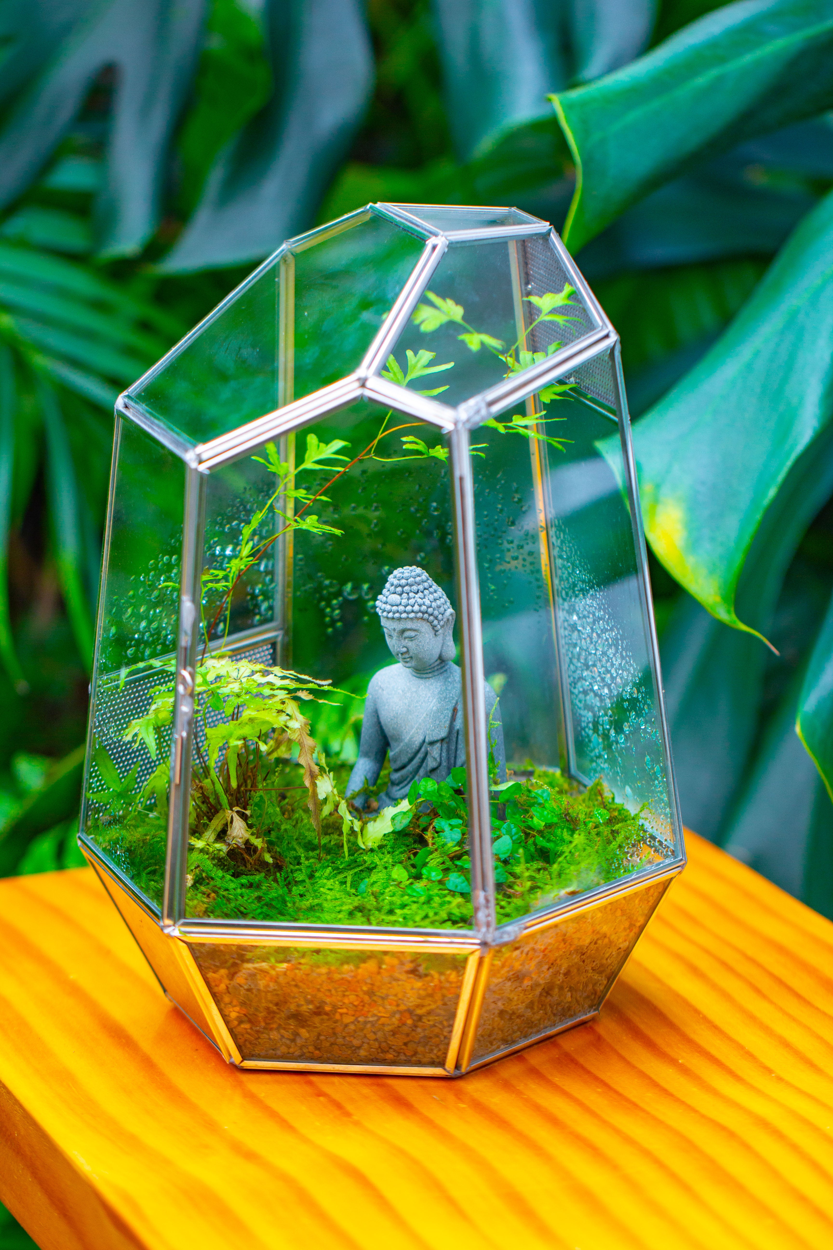 Silver 9.8" Irregular Geometric Glass Terrarium, Close, well vented, for tropical plants, and insects - NCYPgarden