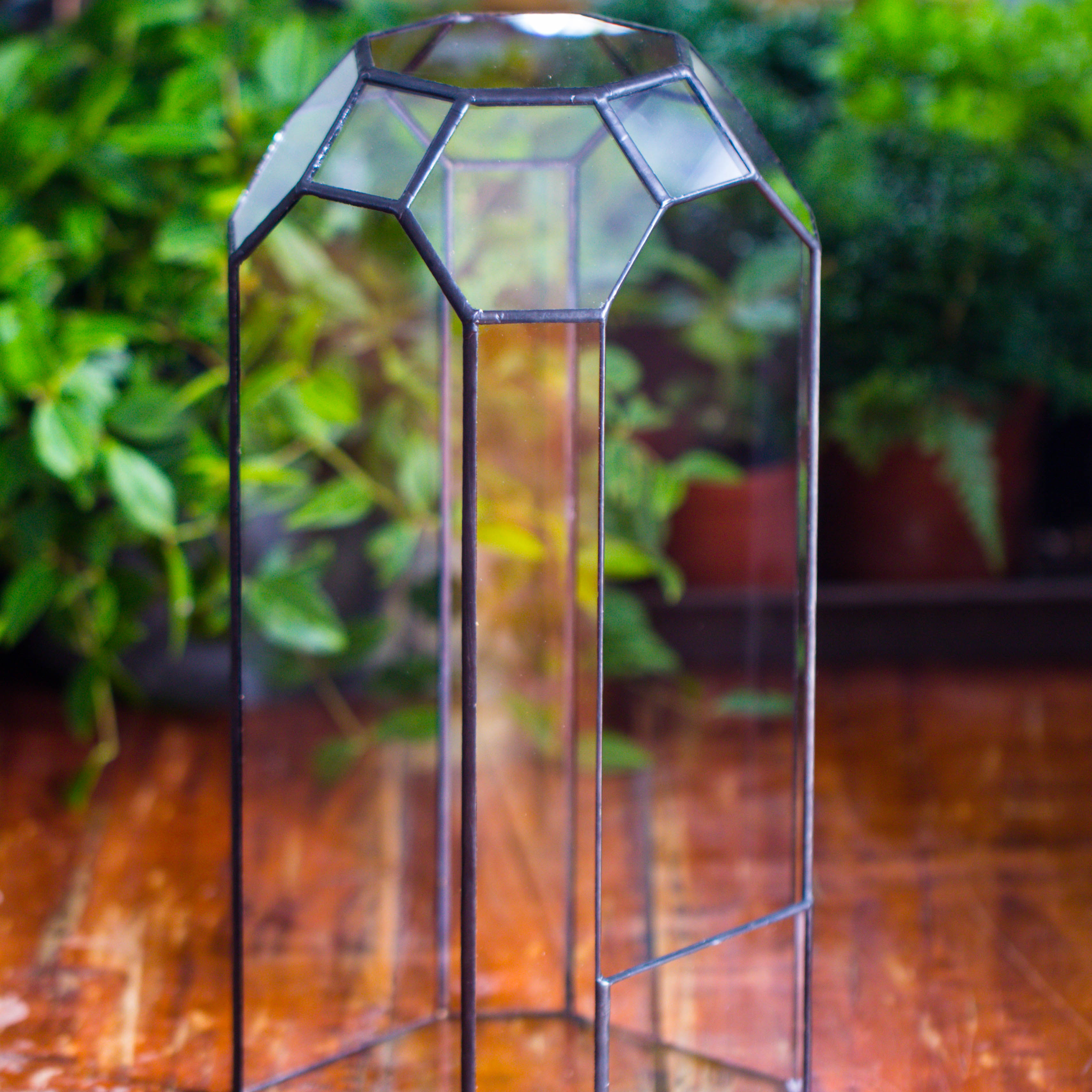 Vintage Tall Octagon Geometric Tin Glass Terrarium , 12.6" , open, suitable for tall plants, orchid, small begonia Pitcher, Micro landscape  -with white light set - NCYPgarden