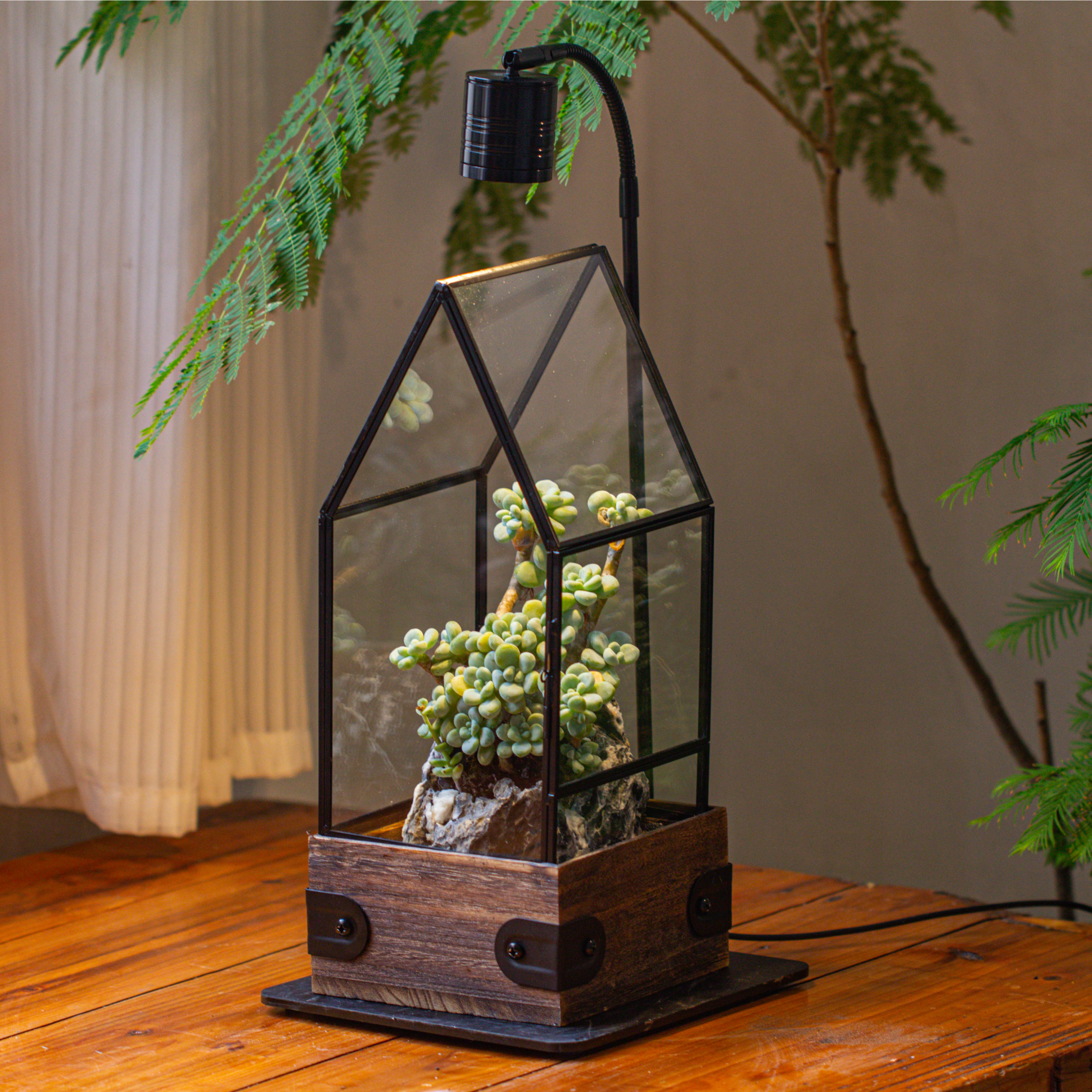 Handmade Glass Terrarium with Wood Base, House Shape Planter with Door, with LED Wood Lamp Base for Plants, Moss Landscapes, Plant Lover Gift - NCYPgarden