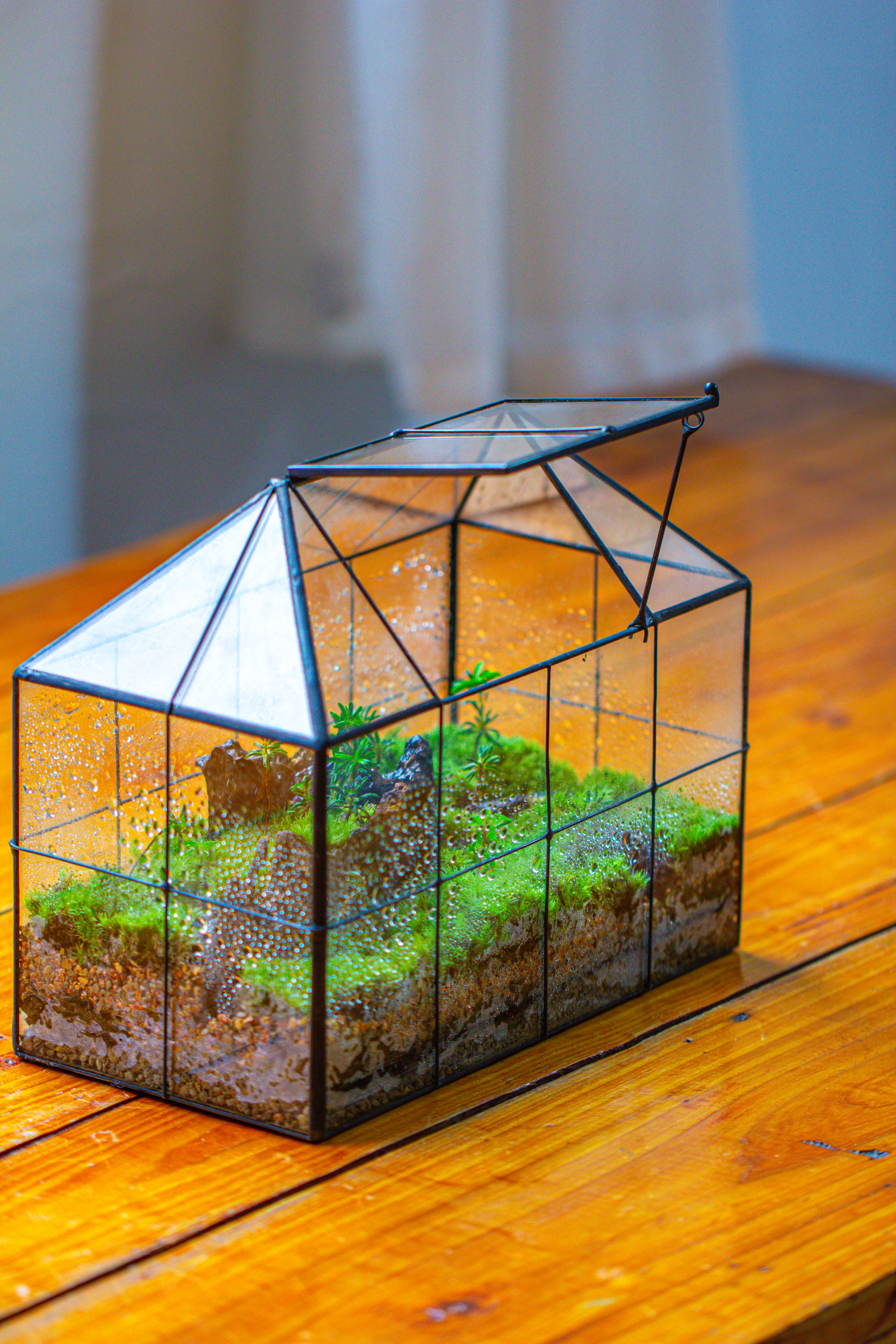 NCYP Glass Geometric Terrarium Tin-Sealed Brass Black House Shape Container with Grid and Swing Lid - NCYPgarden