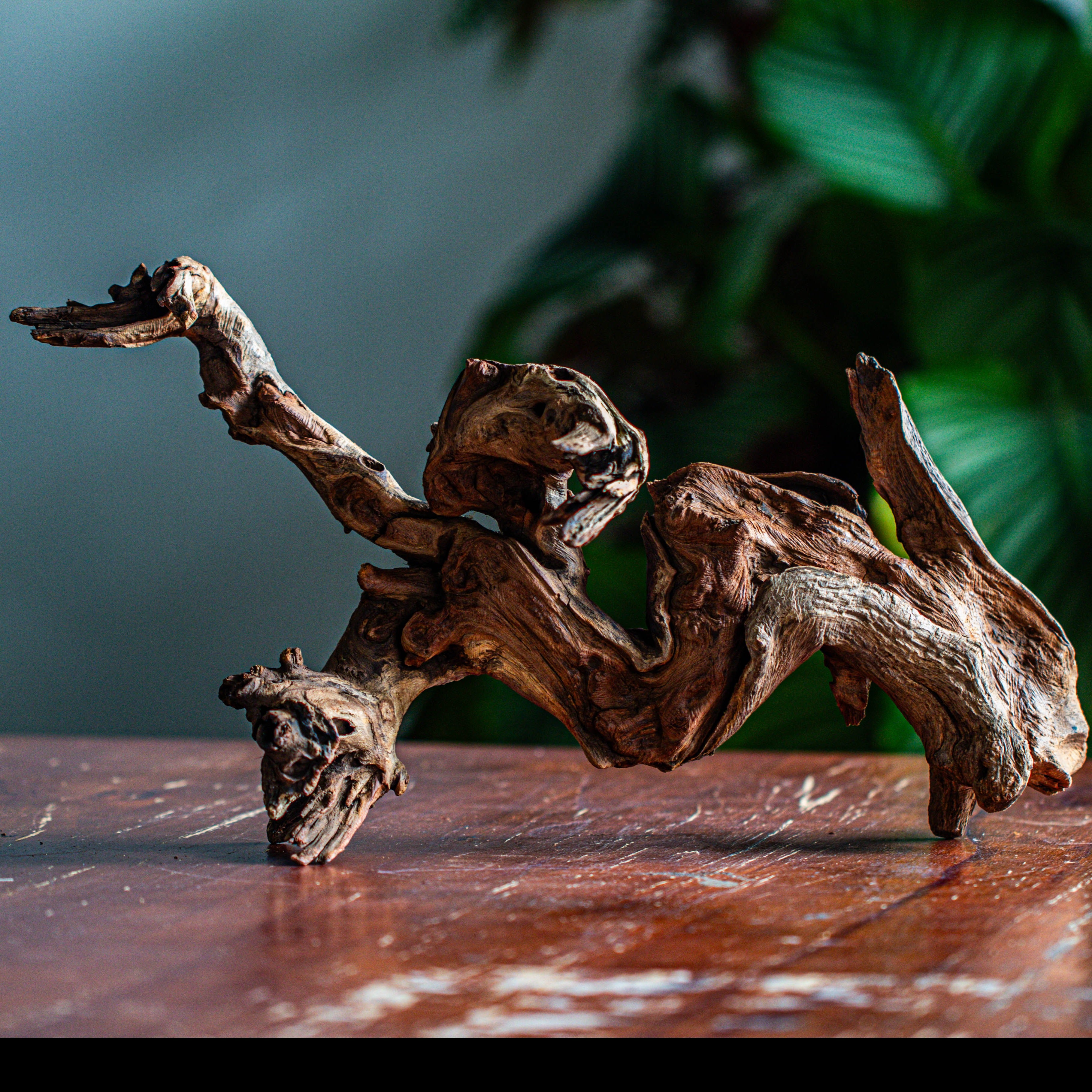 Natural driftwood for moss terrarium, miniature, micro landscape, unique  12-64, suitable for both live and preserved moss - NCYPgarden