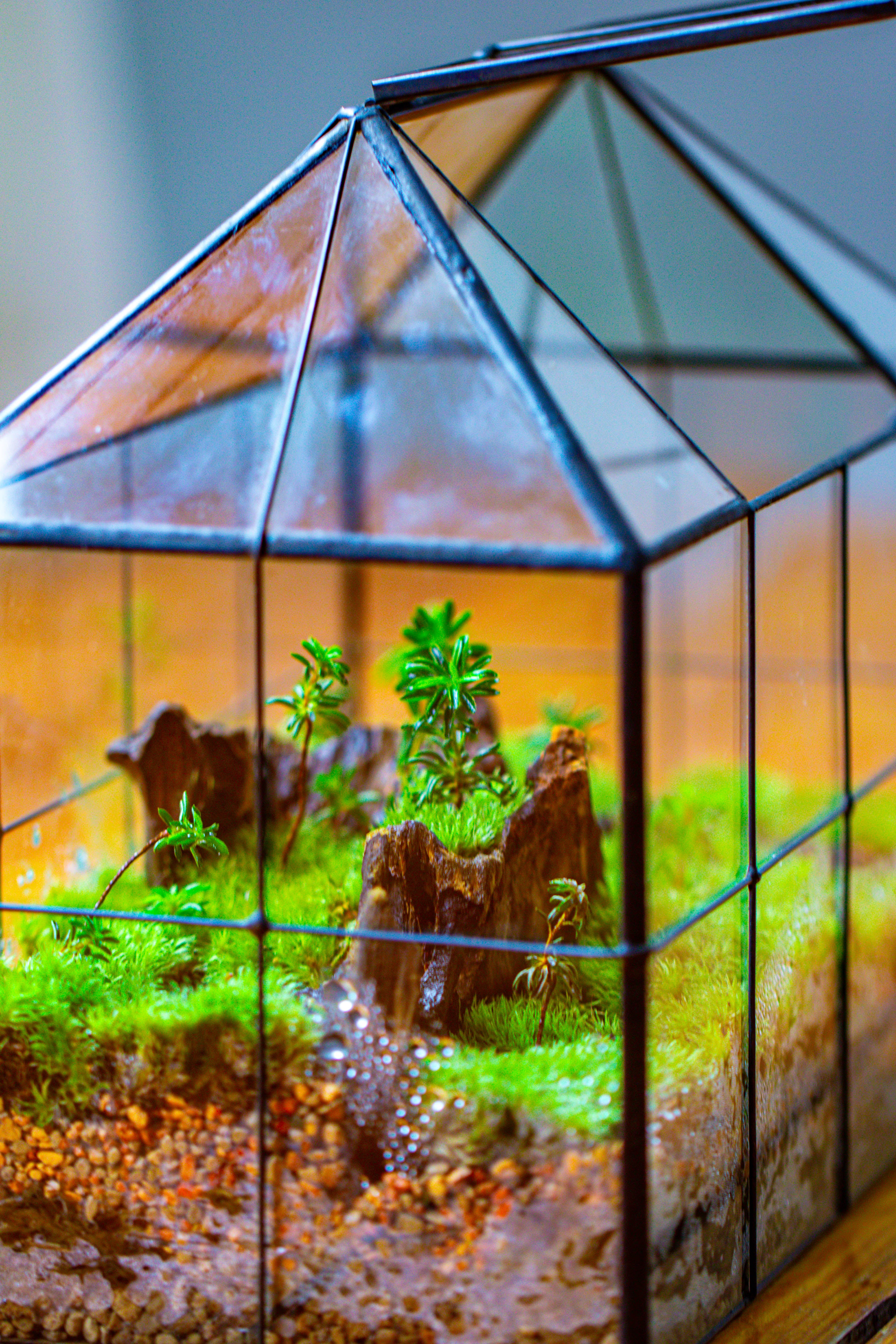 NCYP Glass Geometric Terrarium Tin-Sealed Brass Black House Shape Container with Grid and Swing Lid - NCYPgarden