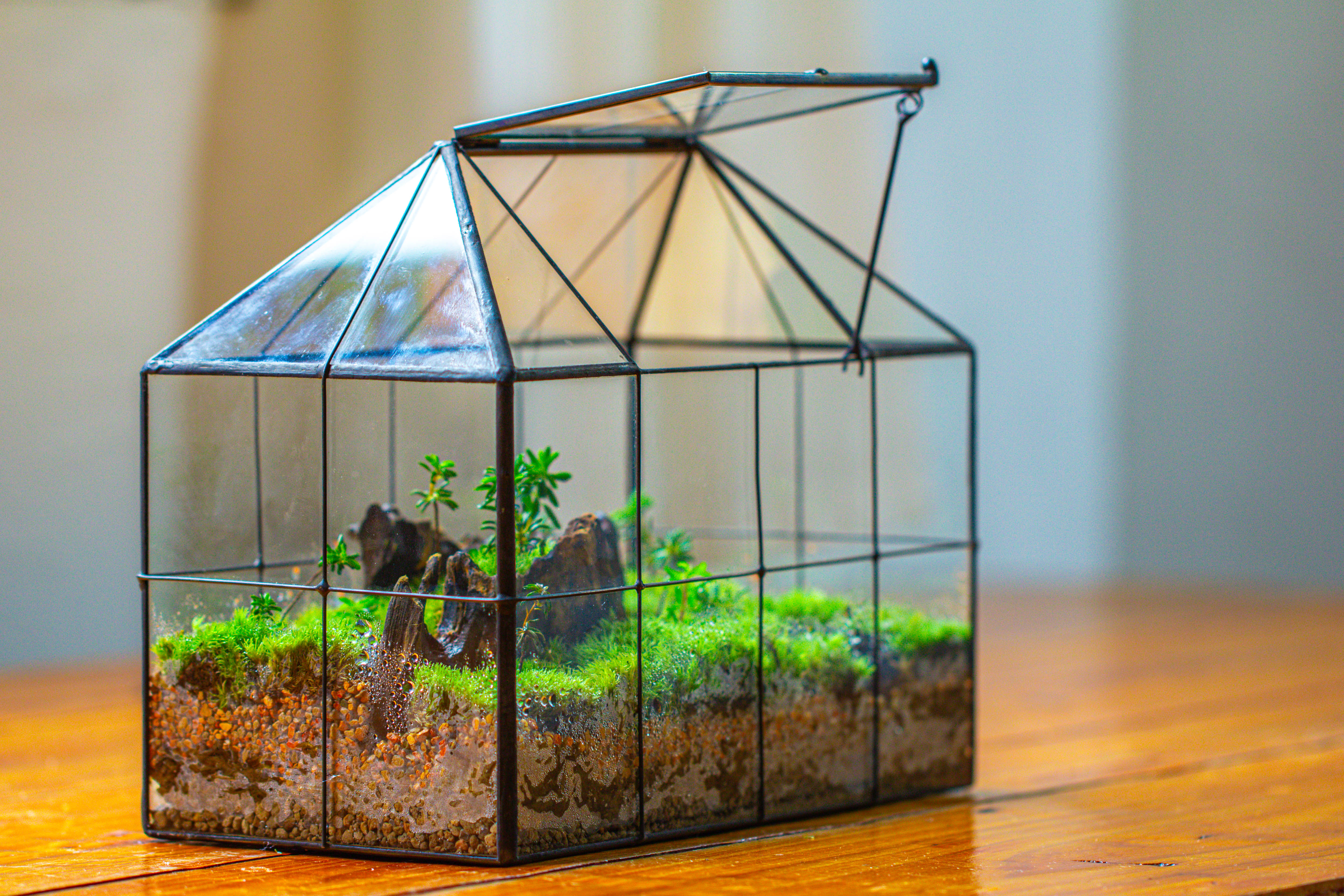 NCYP Glass Geometric Terrarium Tin-Sealed Brass Black House Shape Container with Grid and Swing Lid - NCYPgarden