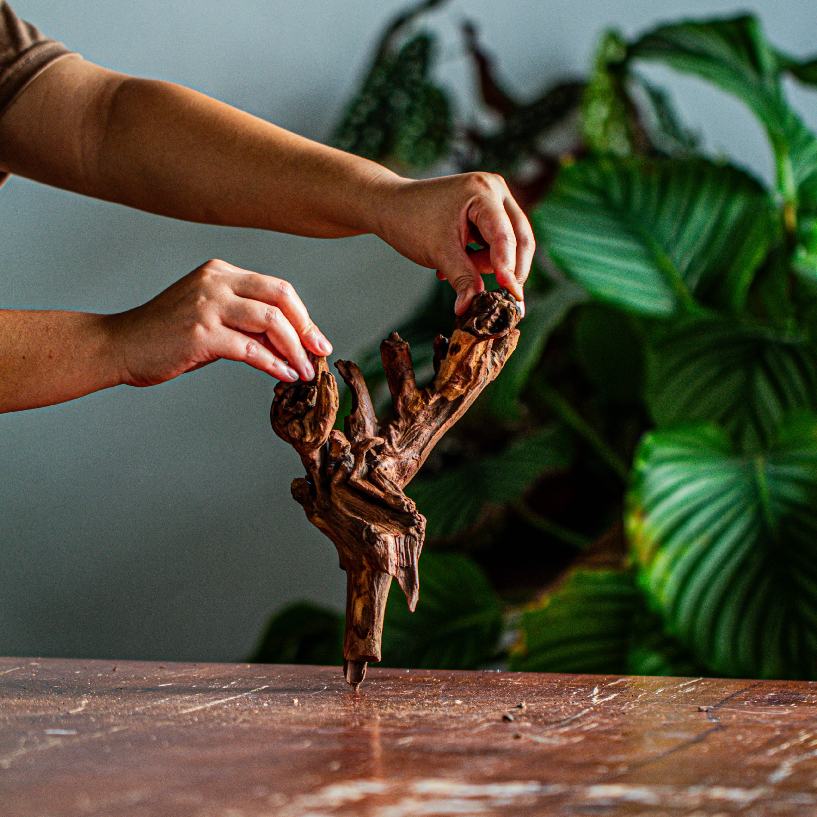 Natural driftwood for moss terrarium, miniature, micro landscape, unique  12-35, suitable for both live and preserved moss - NCYPgarden