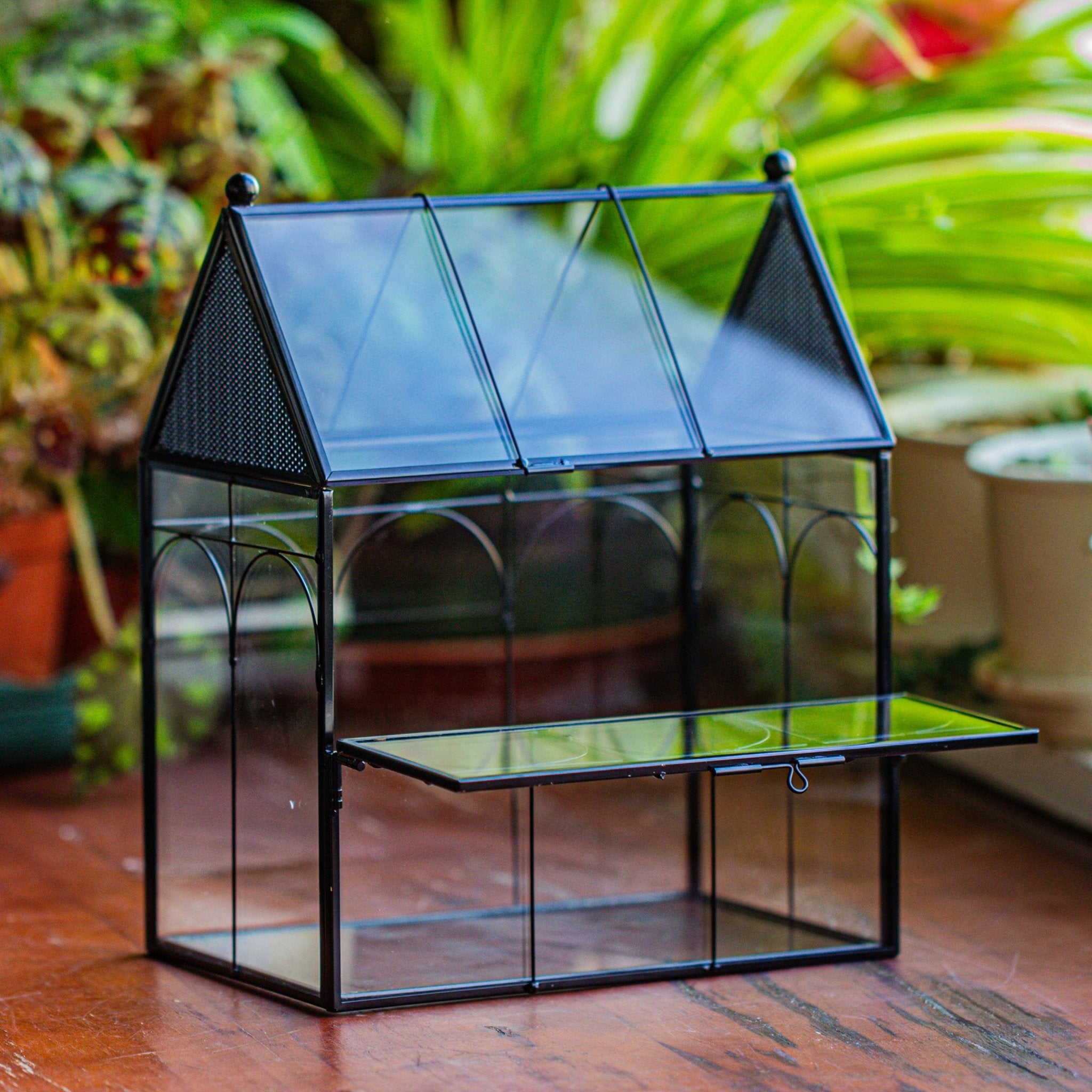 NCYP Vintage House Shape Glass Geometric Terrarium building set, with side door, with Mesh / vent holes for Insects Pet - NCYPgarden