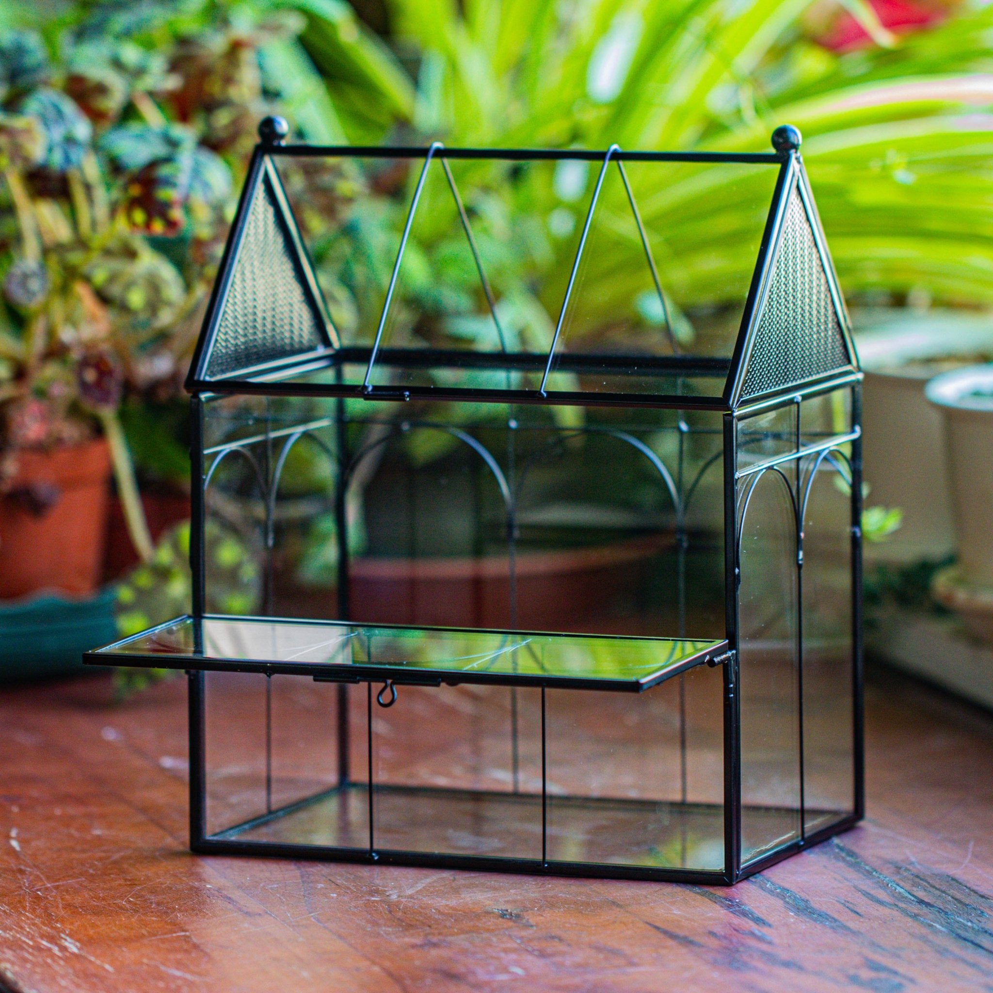 NCYP Vintage House Shape Glass Geometric Terrarium building set, with side door, with Mesh / vent holes for Insects Pet - NCYPgarden
