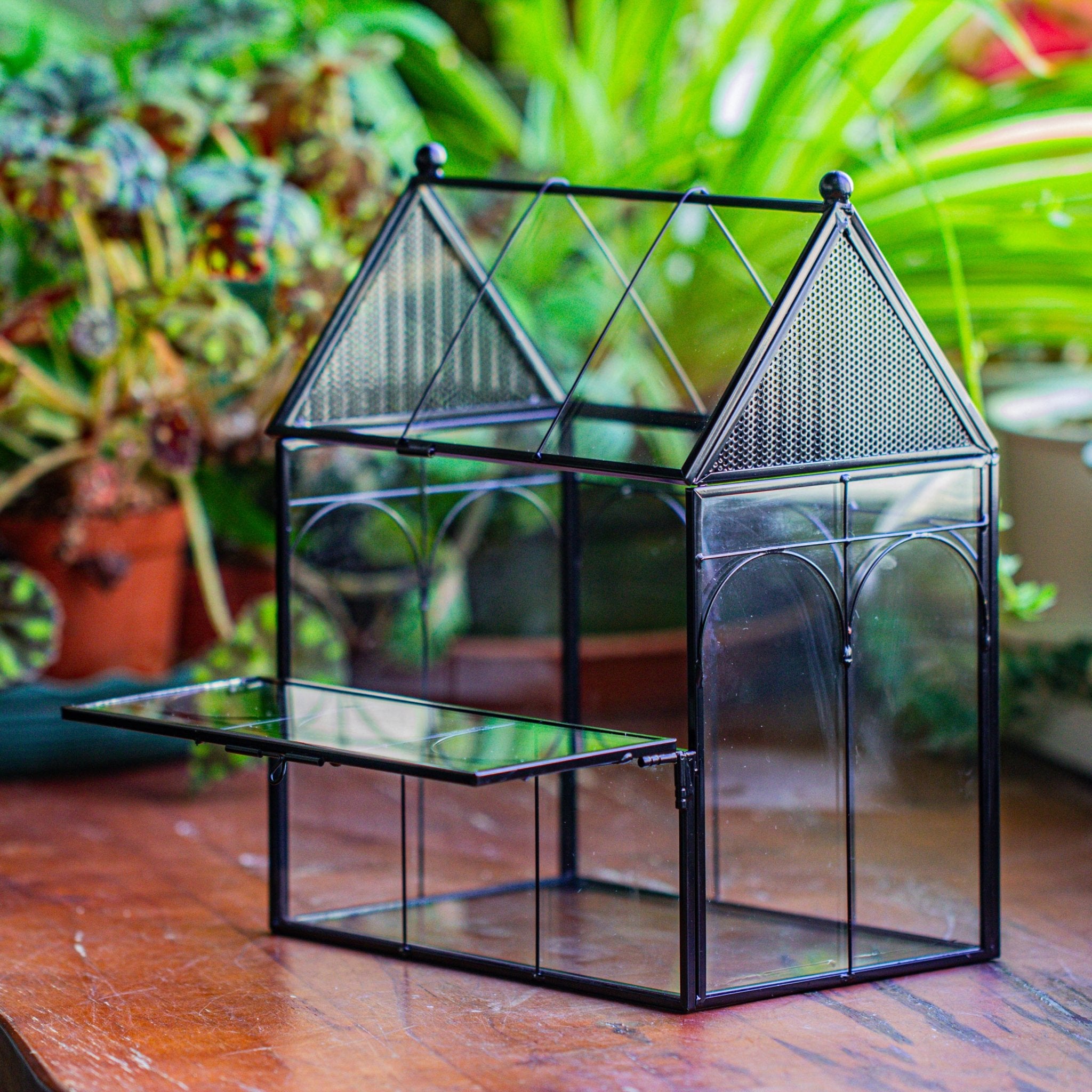NCYP Vintage House Shape Glass Geometric Terrarium building set, with side door, with Mesh / vent holes for Insects Pet - NCYPgarden